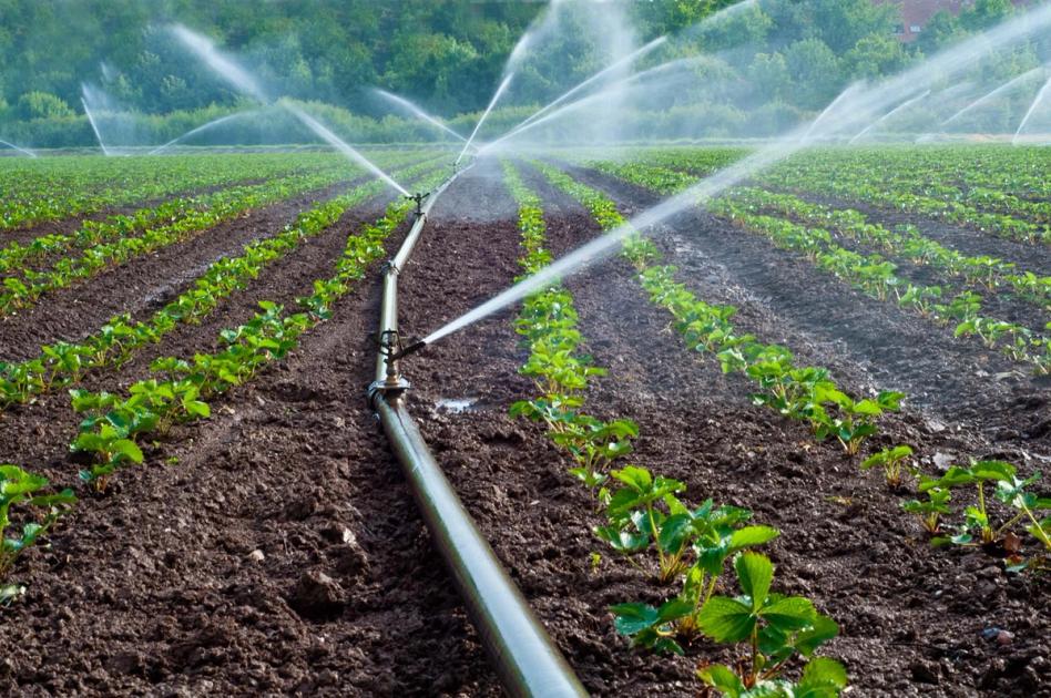 Solar-Powered Irrigation: Cutting the Biggest Variable Cost on a Humboldt Ranch