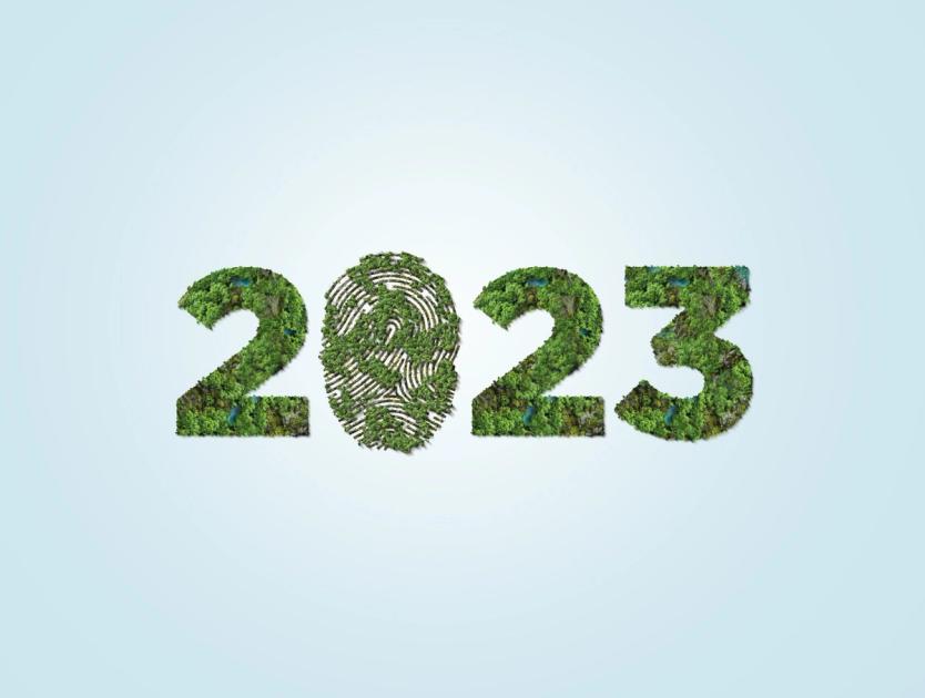 Why 2023 Is the Year to Go Solar in California