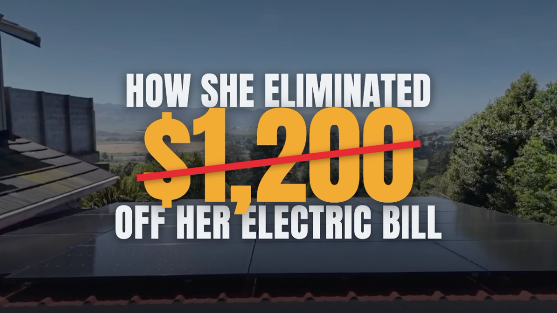 A Deer, a Dead Car, and the End of the $1,200 Power Bill