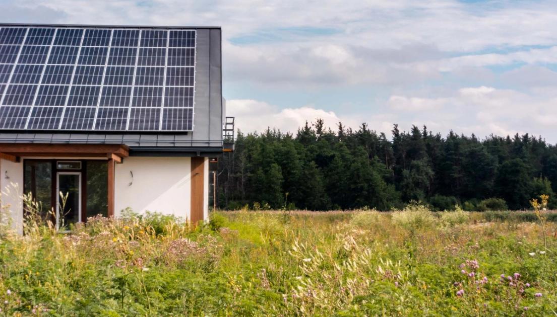 What It Actually Takes to Disconnect in Rural Humboldt