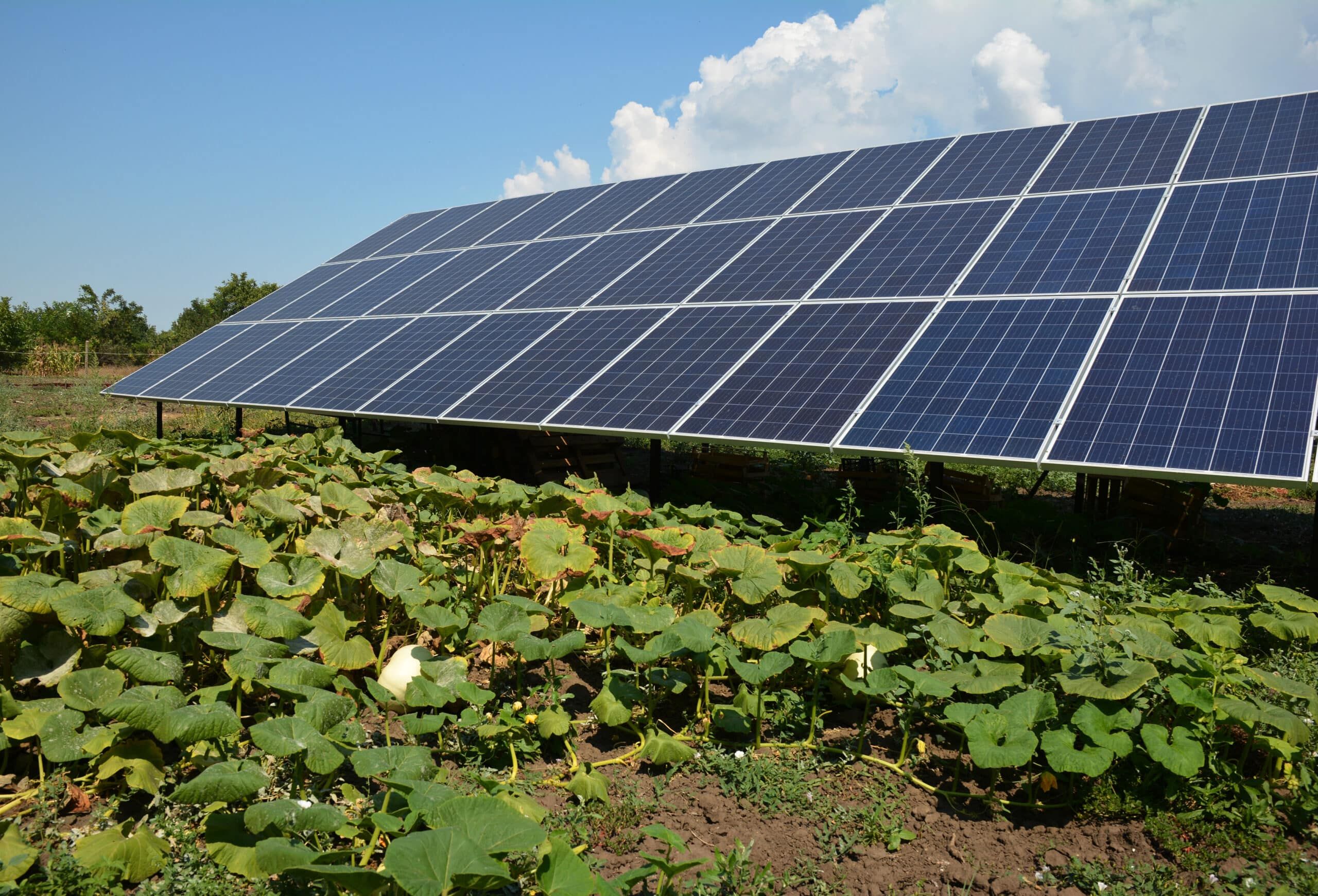 Visual Reference: The Ultimate Guide To Off Grid Solar Installation In California