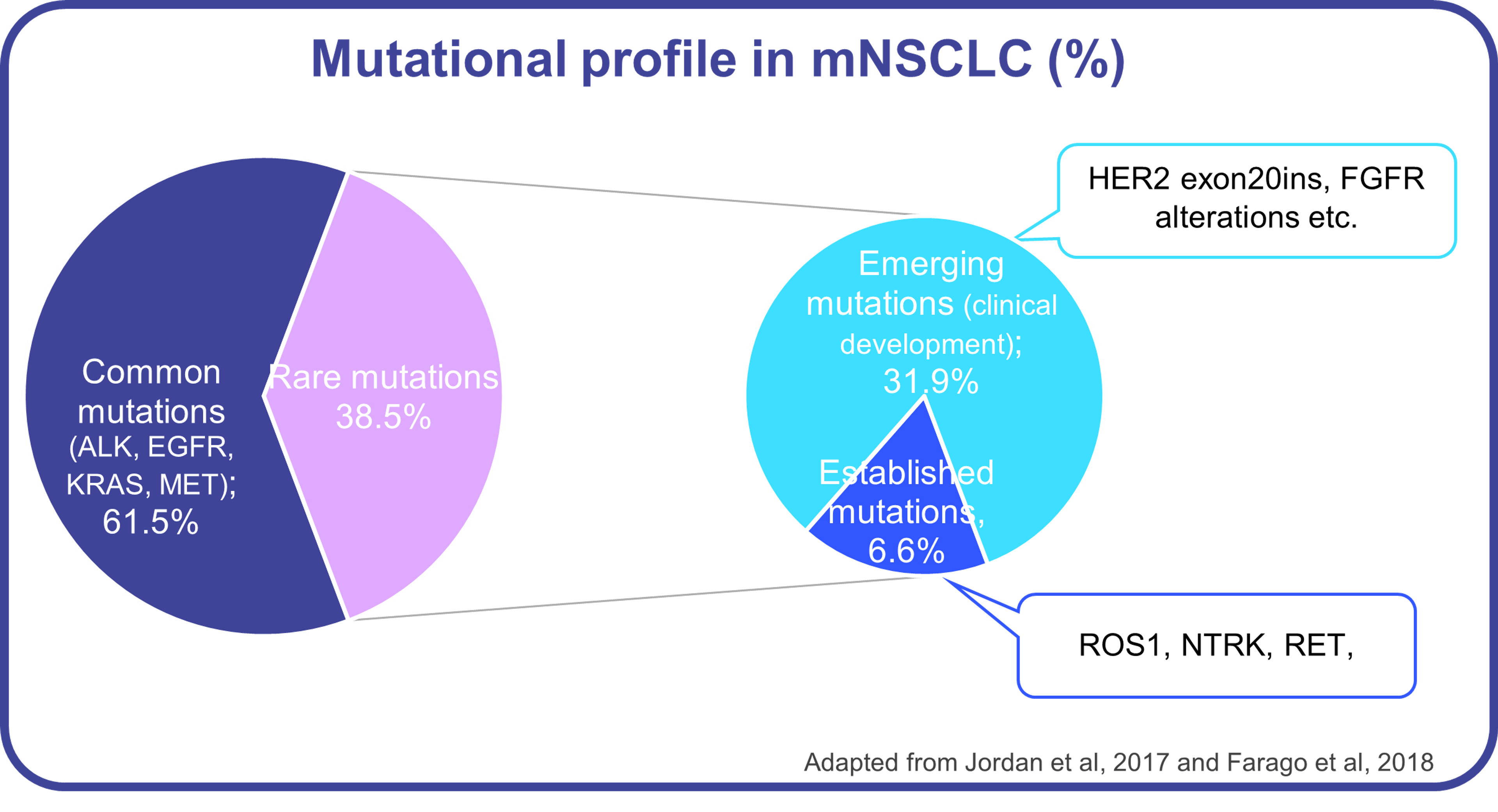 Mutational profile in mNSCLC