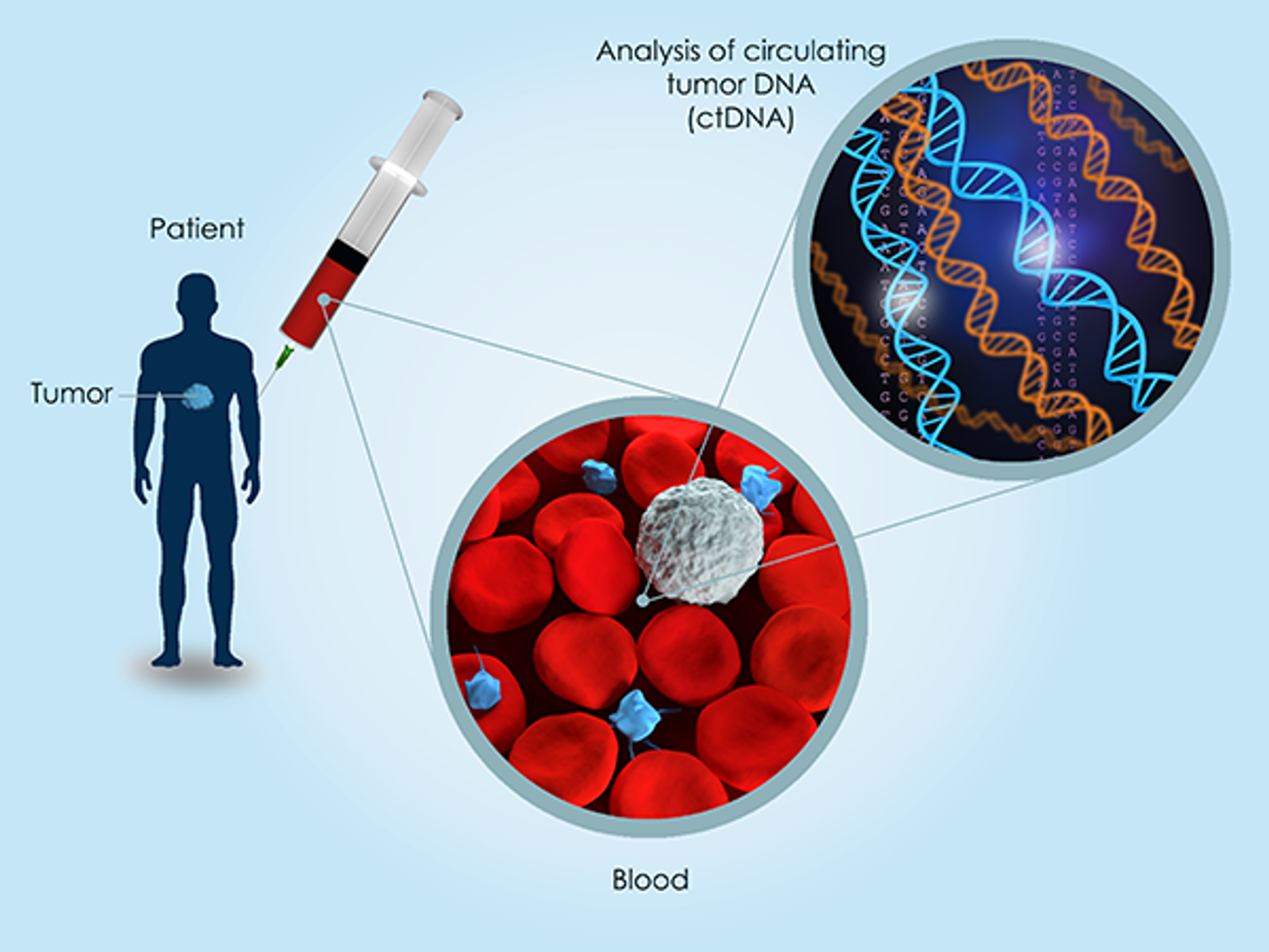 ctDNA liquid biopsy concept image