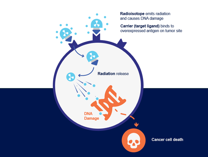 Figure 1. Schematic representation of RLT mode of action. Radiation is causing localized DNA damage in tumor cells and potential cell death.