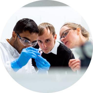 People working in a lab