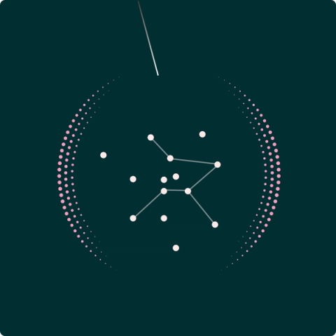 Diagram: a network of connected points inside a ring of pink dots.