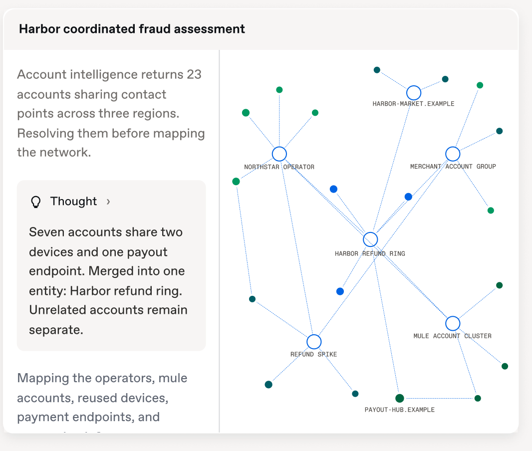 Product illustration: an entity graph centred on “Harbor refund ring”, linked to an operator, a merchant account group, a mule account cluster, a refund spike and two example domains.