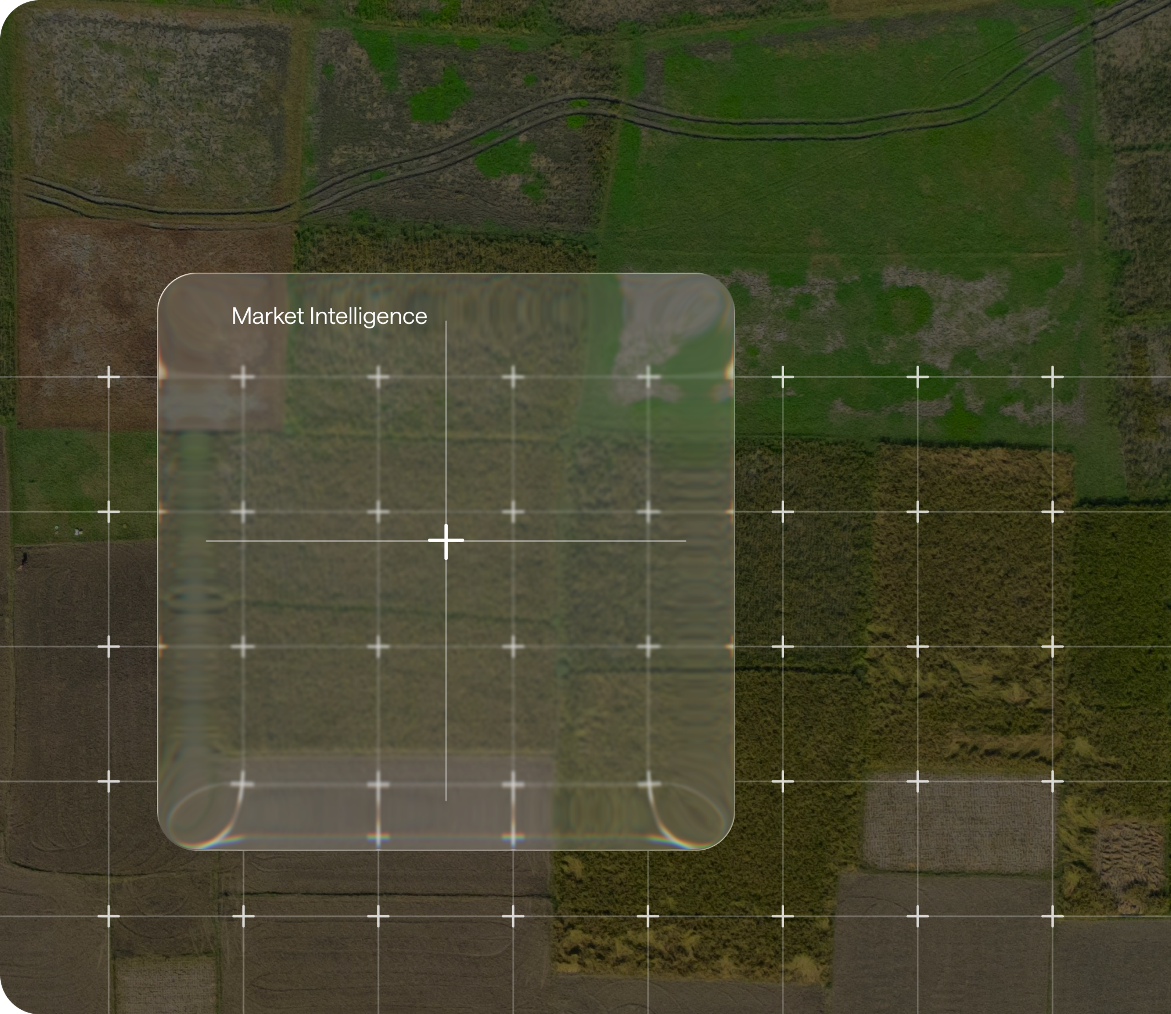 Image for See Signals First