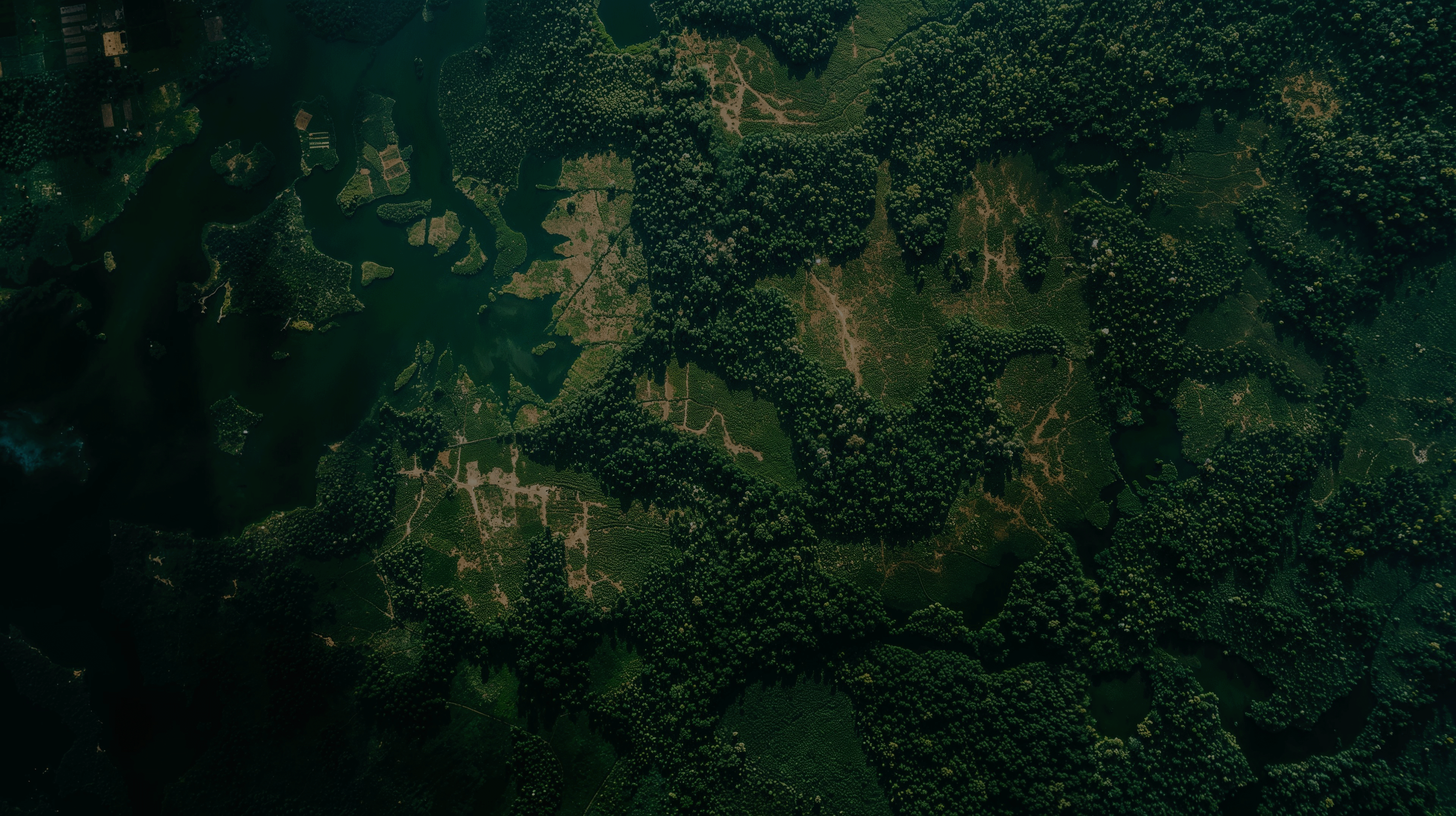 Satellite Imagery of trees