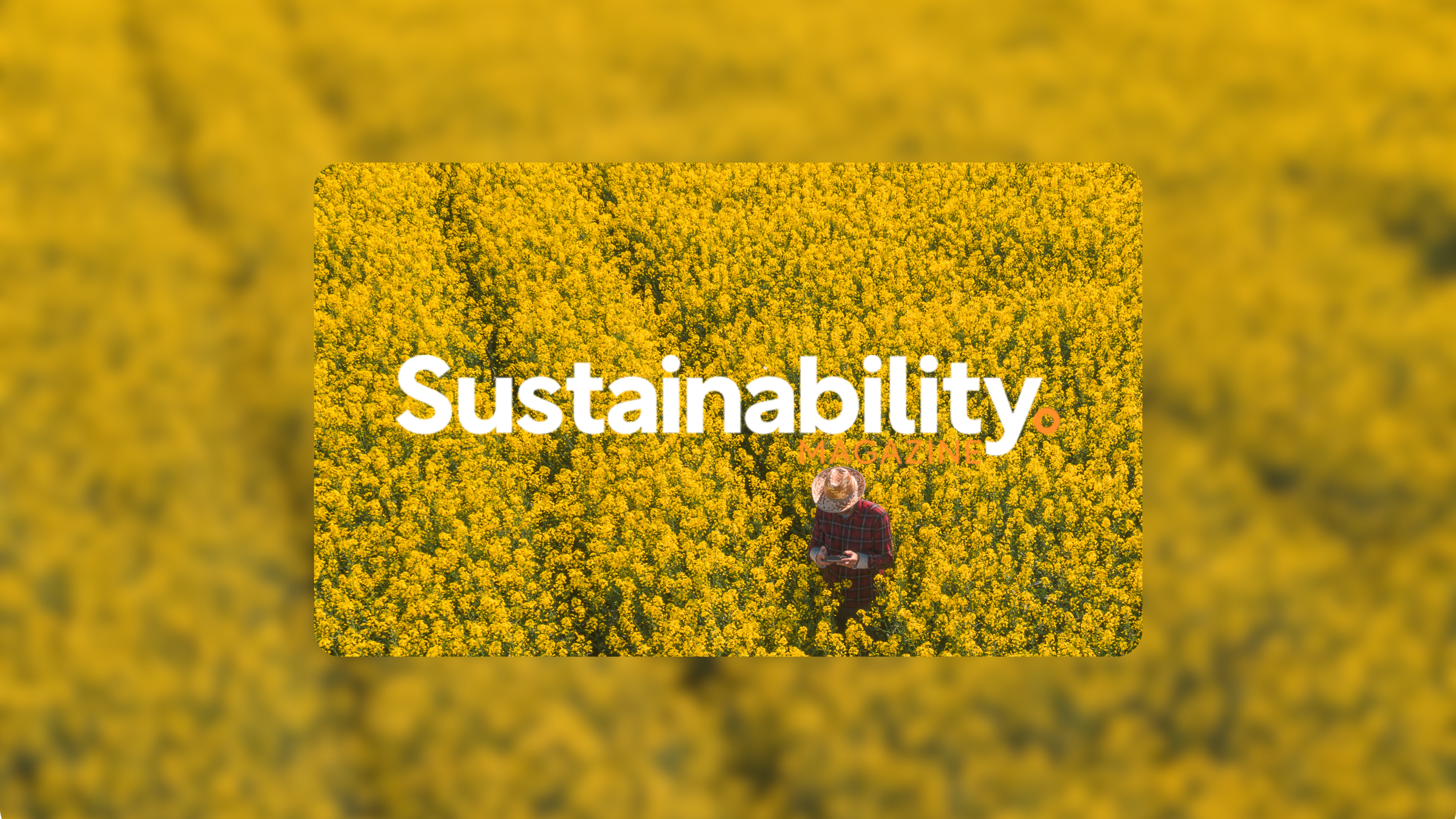 How AI Can Support Transparency in Supply Chains