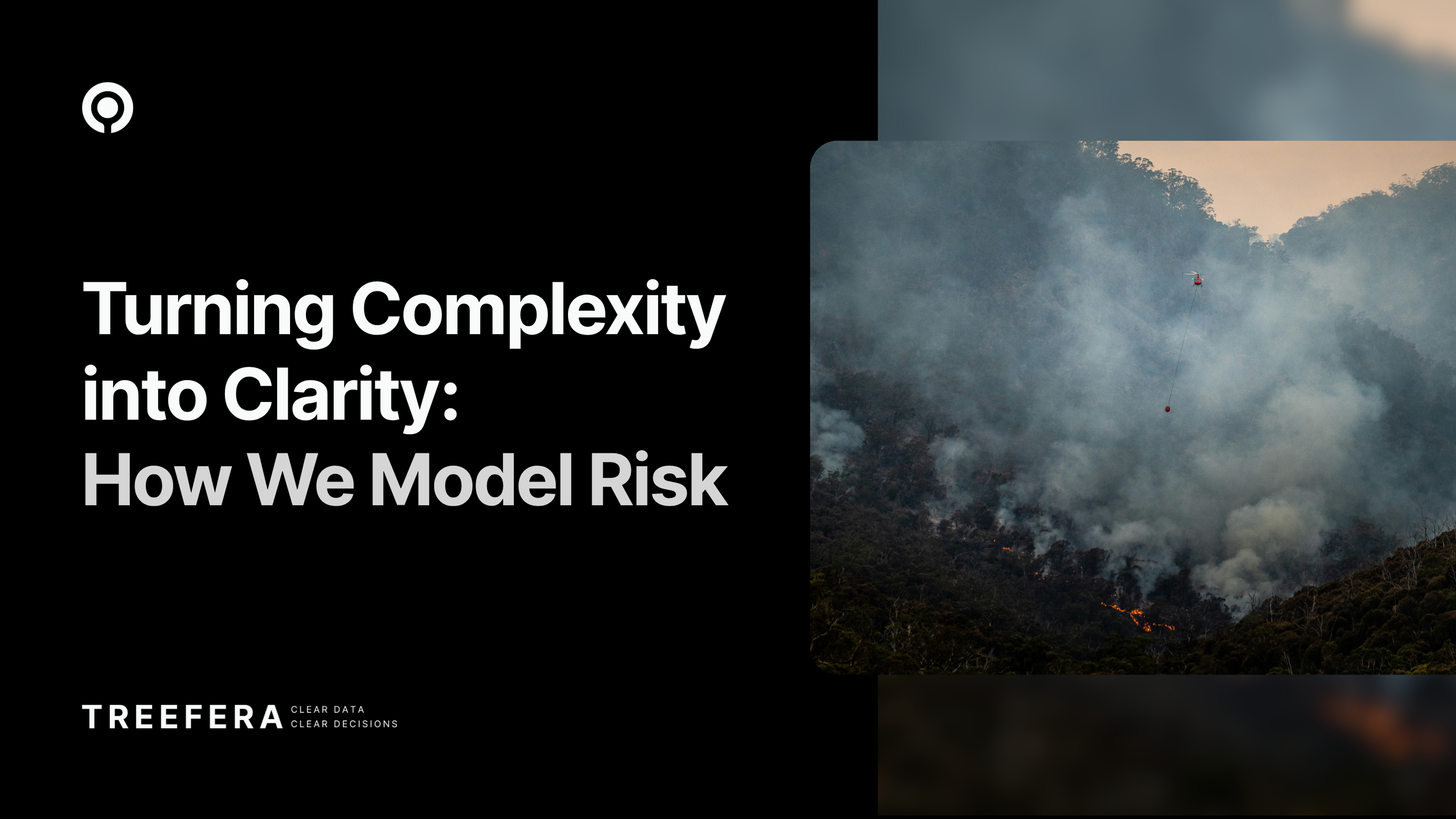 Treefera - turning complexity into clarity: how treefera model risk