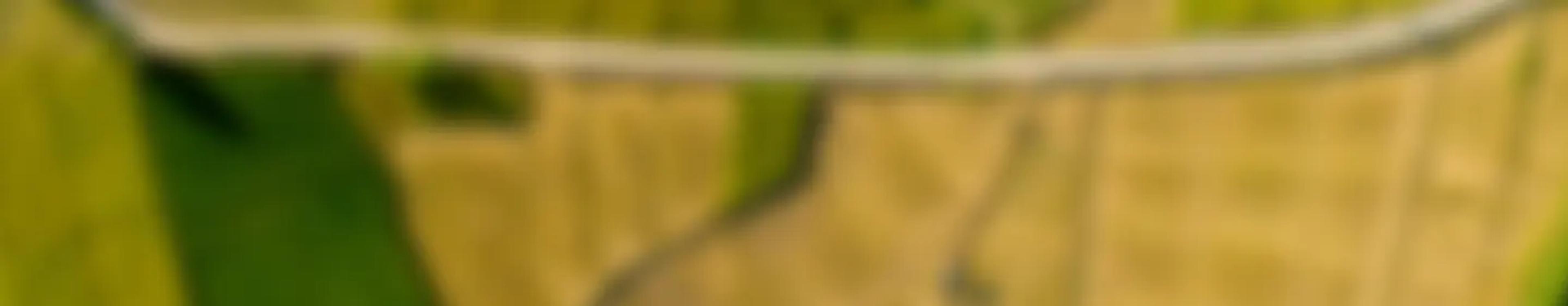 background image fields