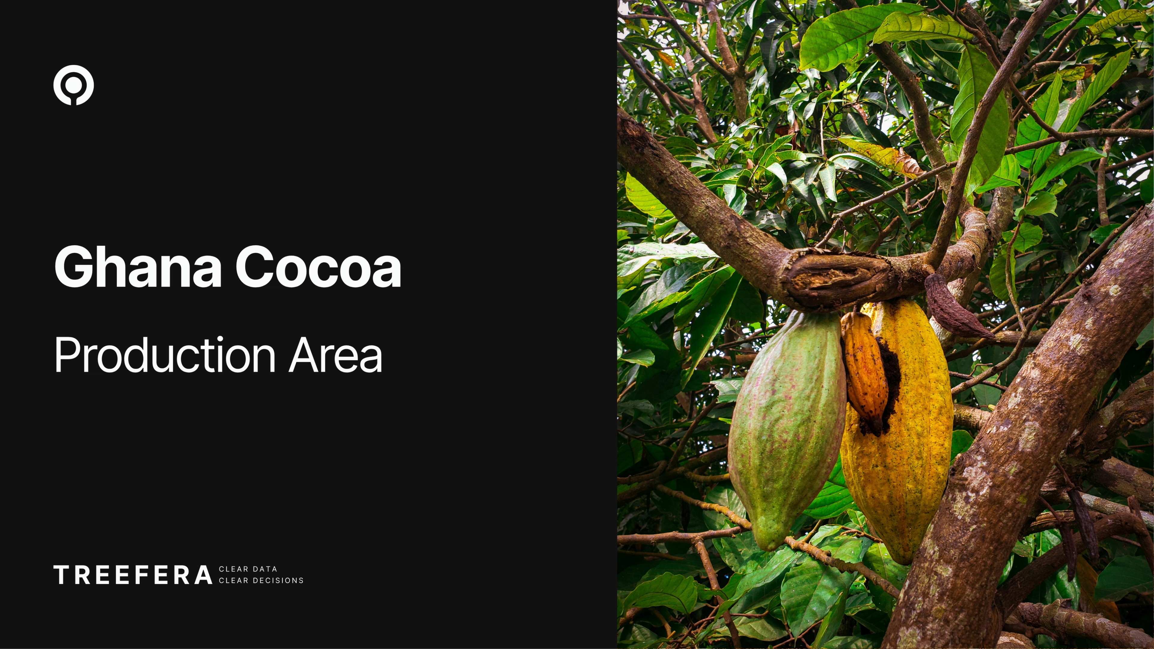 Treefera Ghana Cocoa Production Area