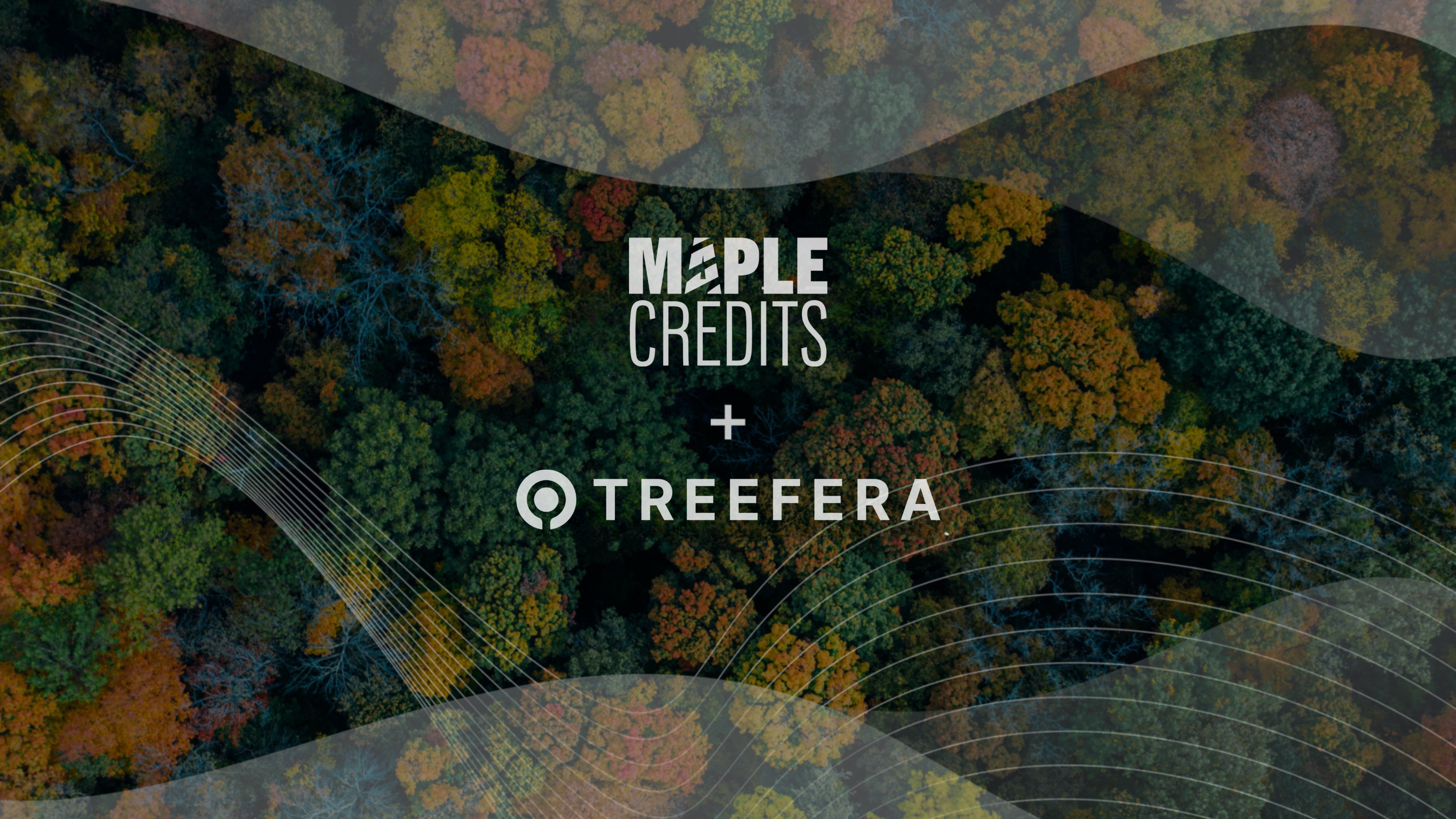 Maple Credits and Treefera logos