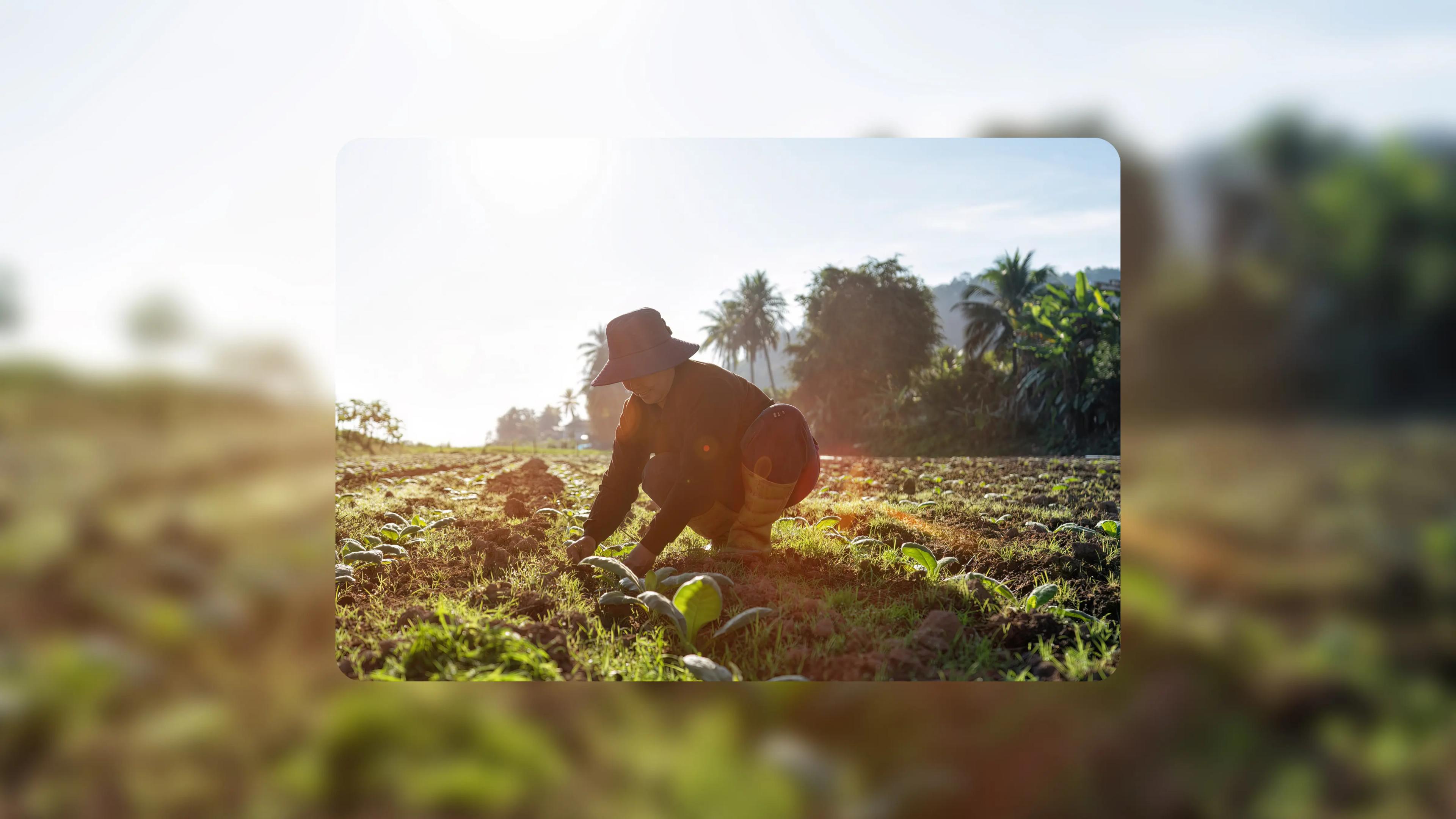 Treefera raises $30 million in Series B