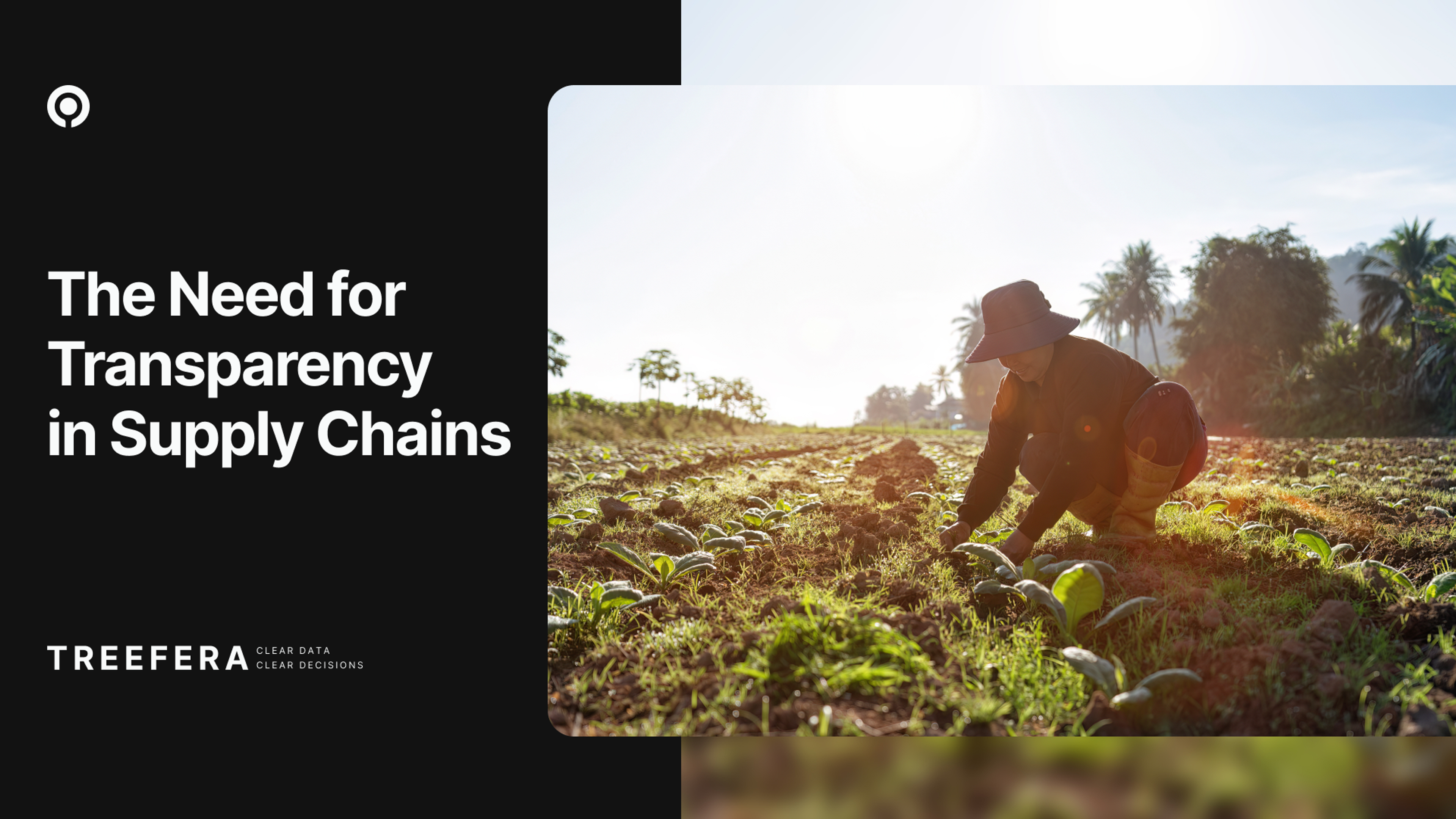 The Need for Transparency in Supply Chains