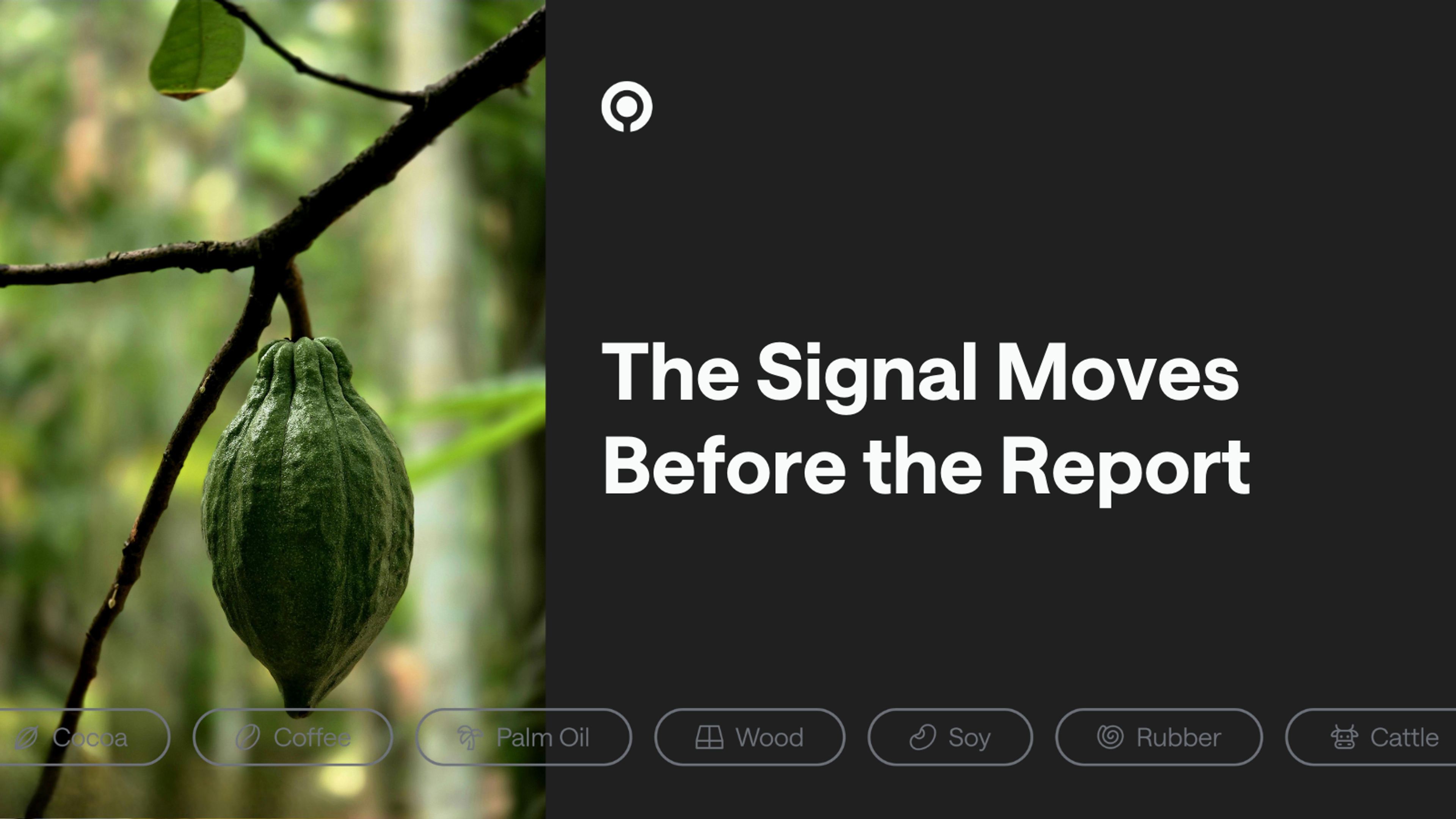 the signal moves before the report