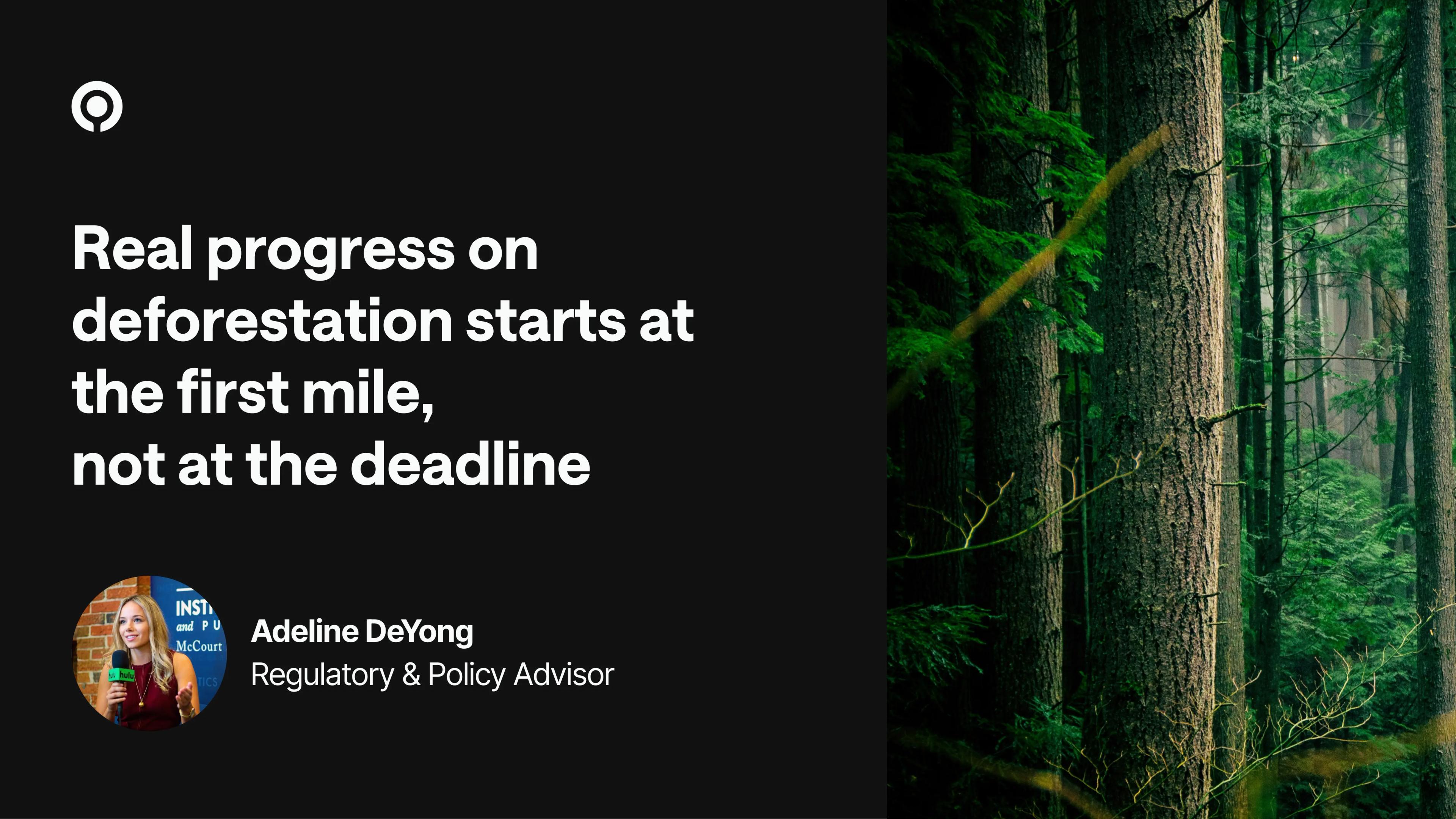 Real progress on deforestation starts at the first-mile a piece by adeline deYoung