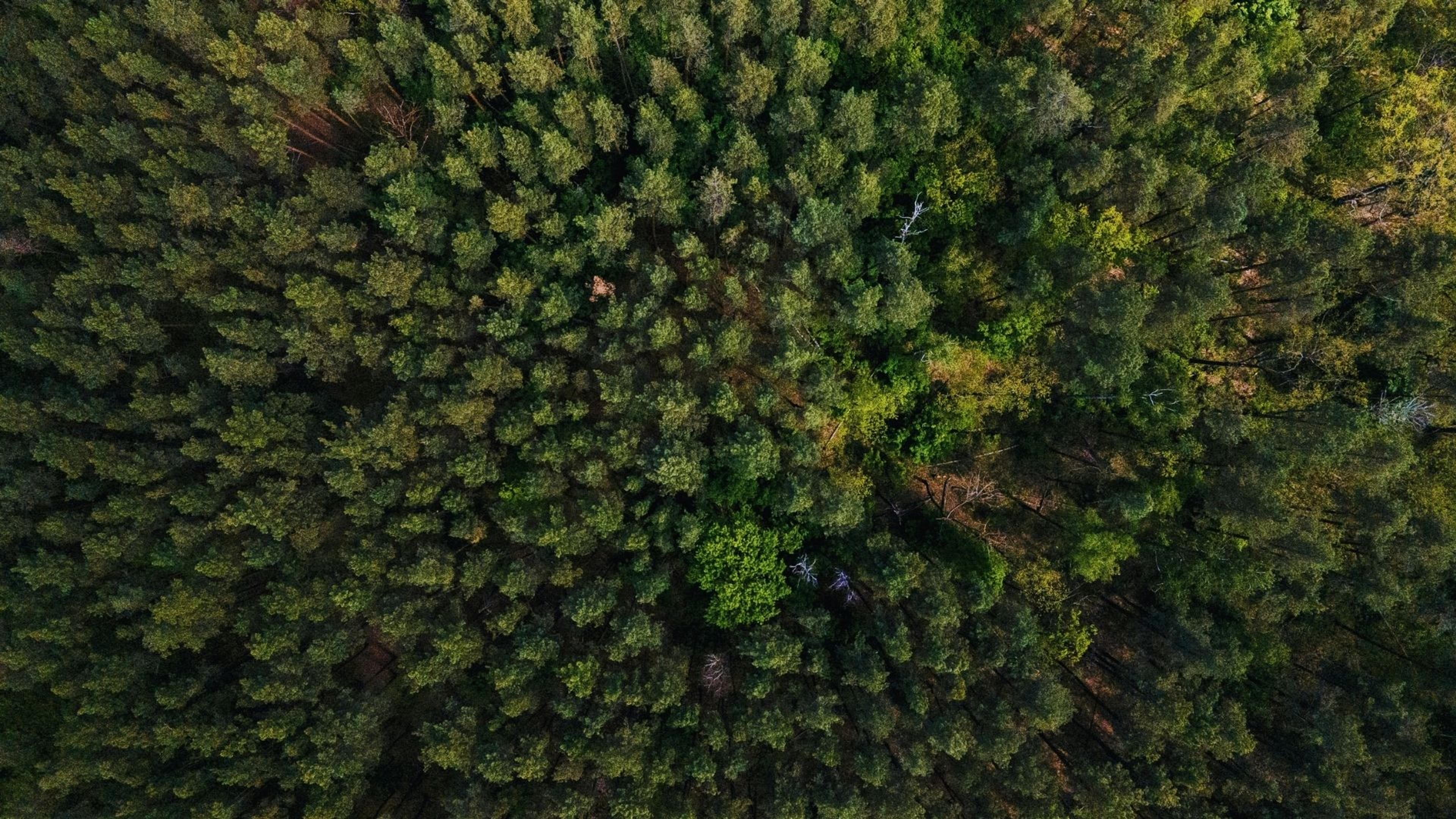 Solving First-Mile Challenges with AI and Satellite Intelligence