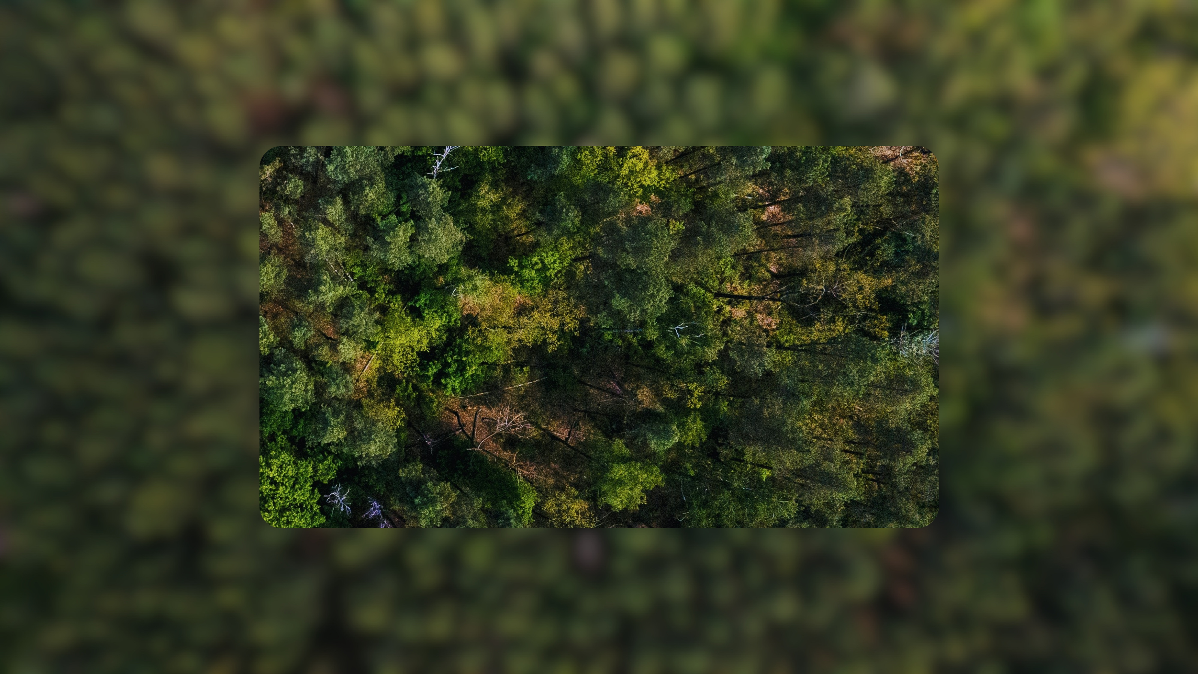 Solving First-Mile Challenges with AI and Satellite Intelligence