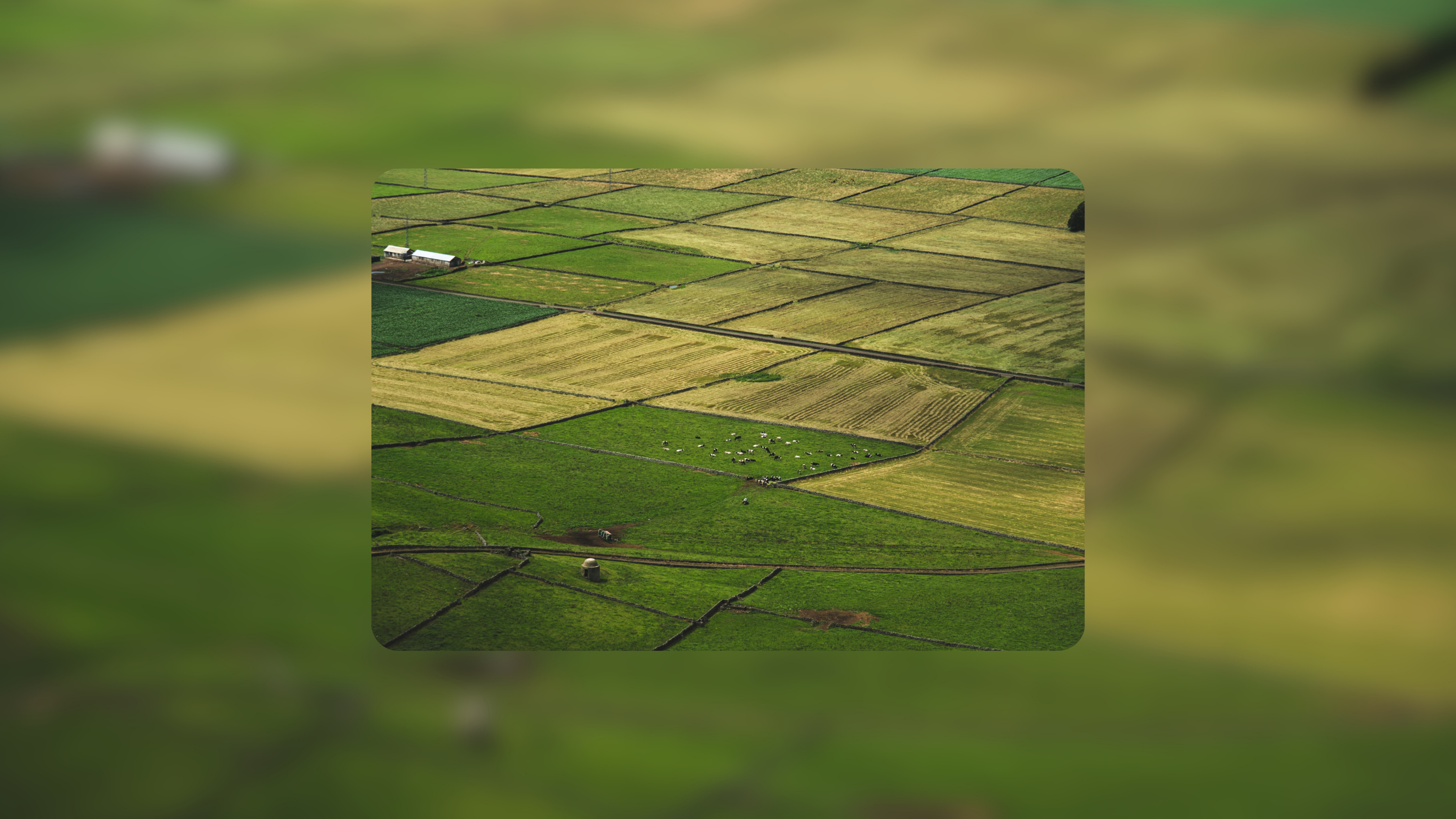 UK Farm