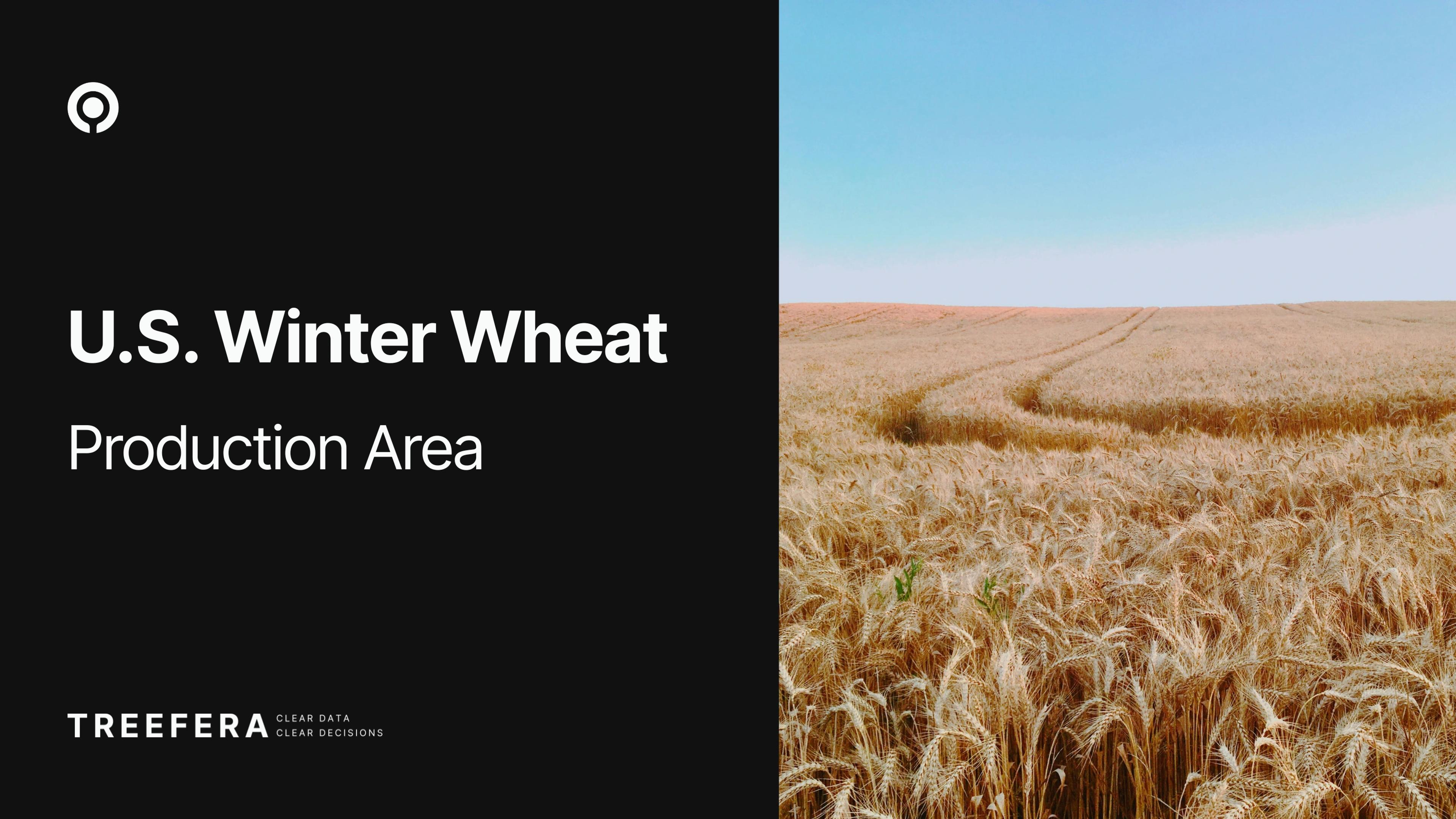 treefera us winter wheat forecast