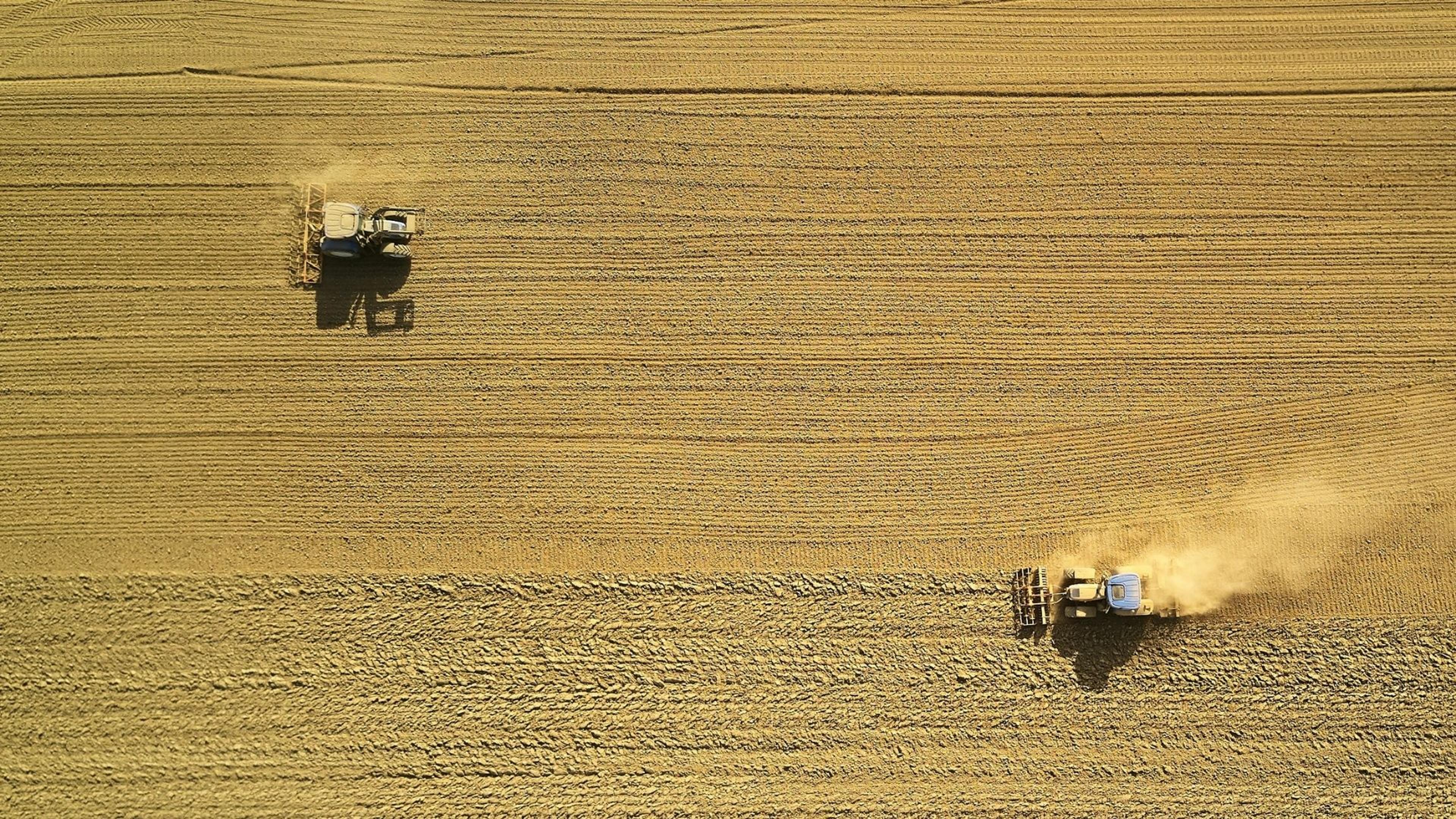 From Risk to Resilience: the Outcome of Visibility - drone shot from wheat field