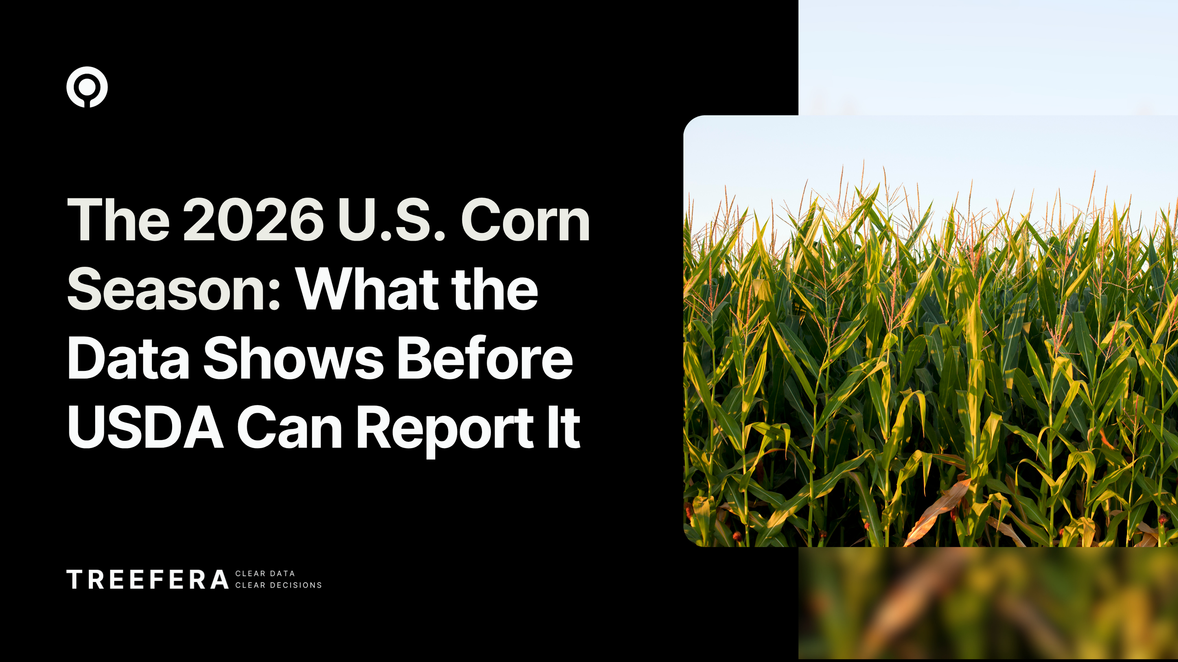 The 2026 US Corn Season