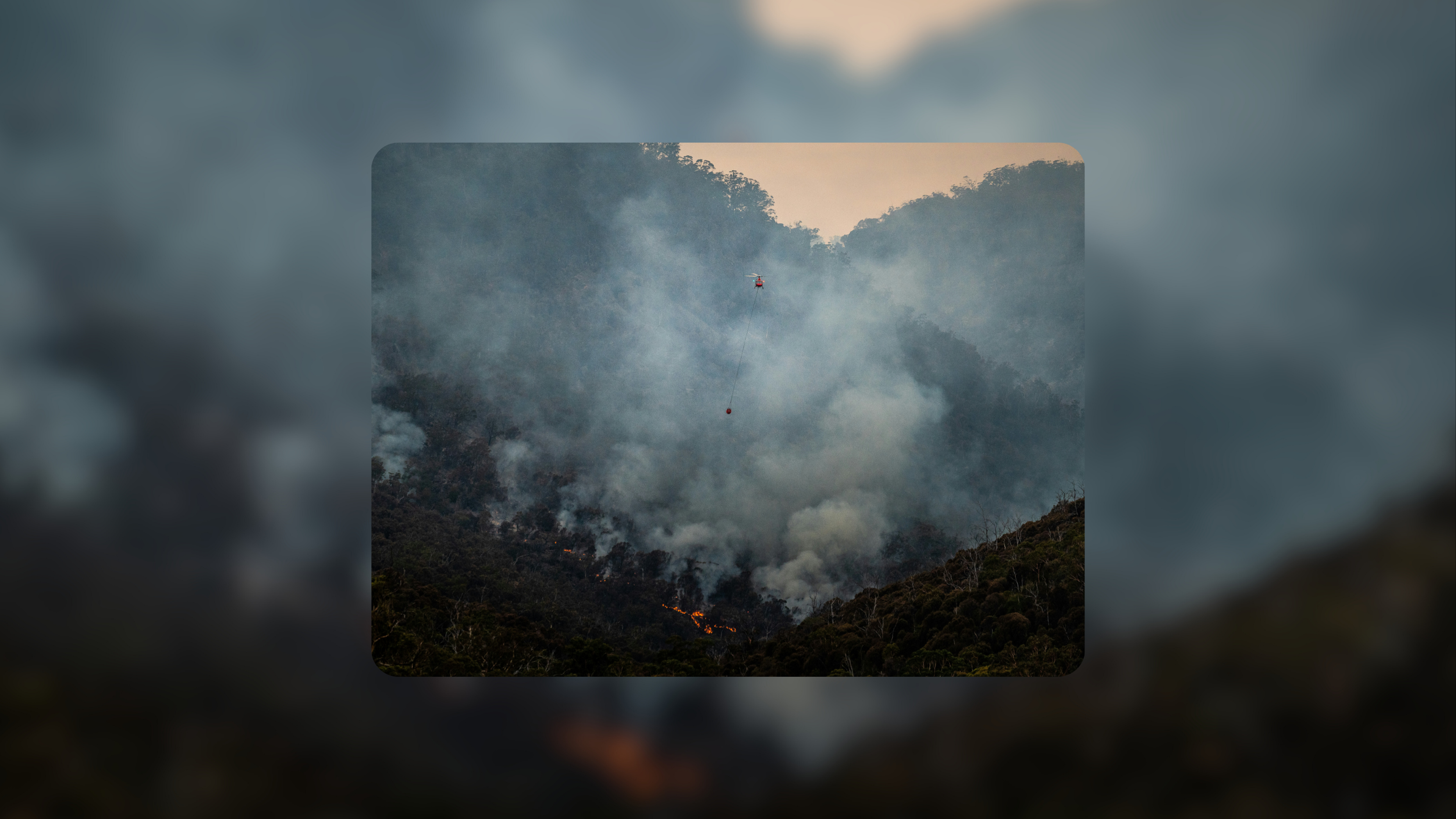 Forest fire image, turning complexity into clarity: how treefera model risk