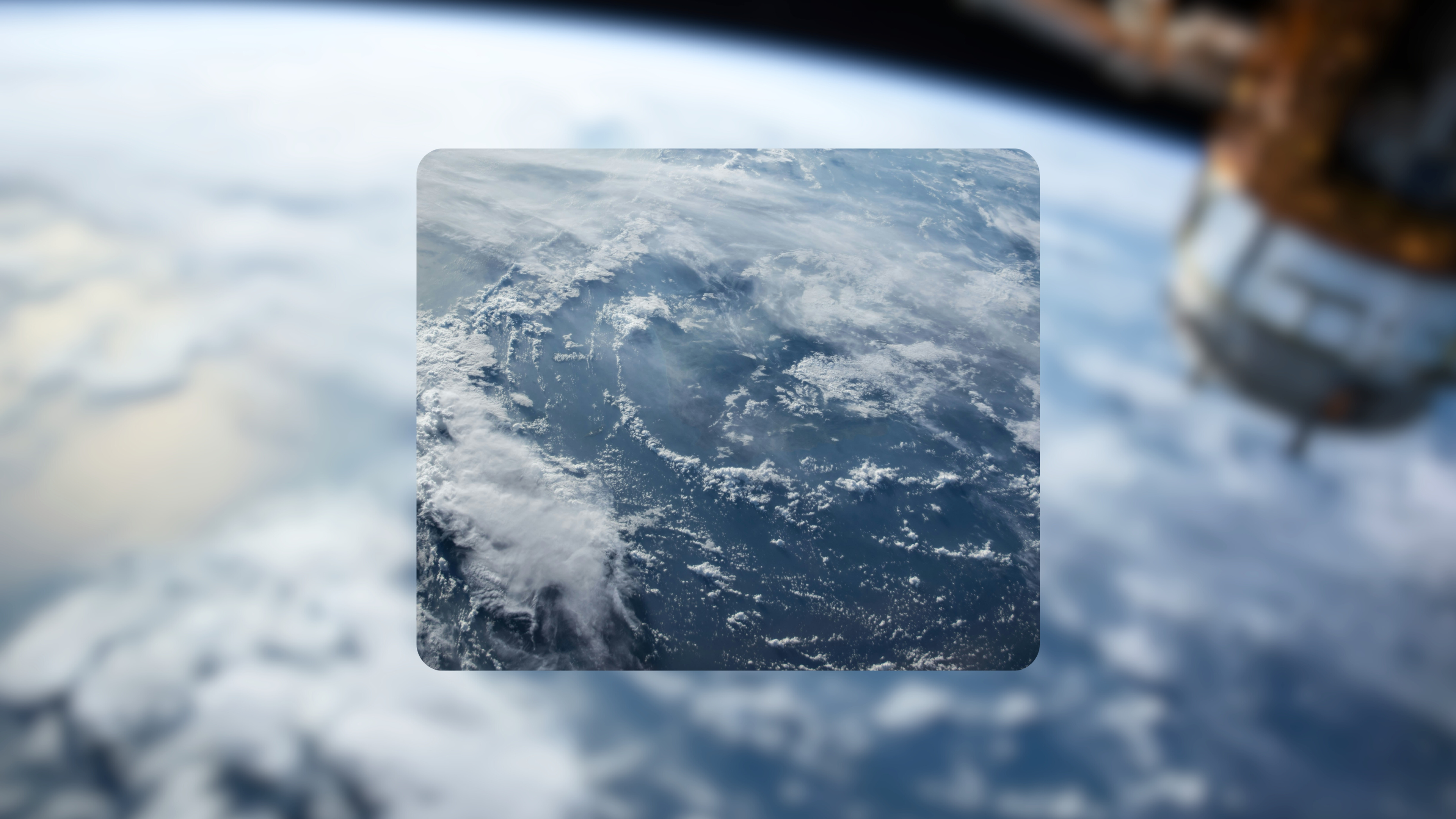 Treefera 28 APIs endpoints