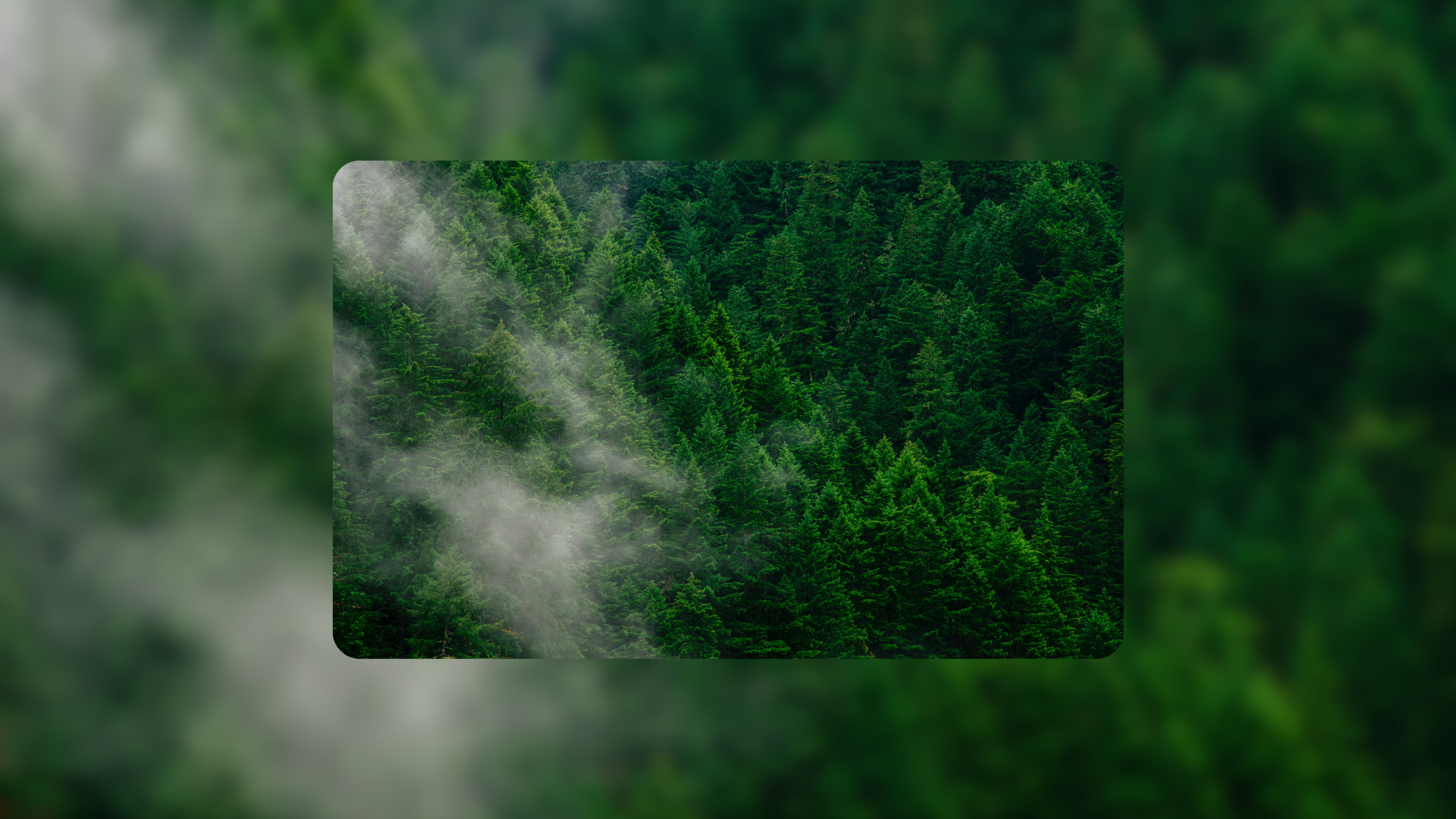 Plot-Level Proof: How to Achieve EUDR Compliance with Precision