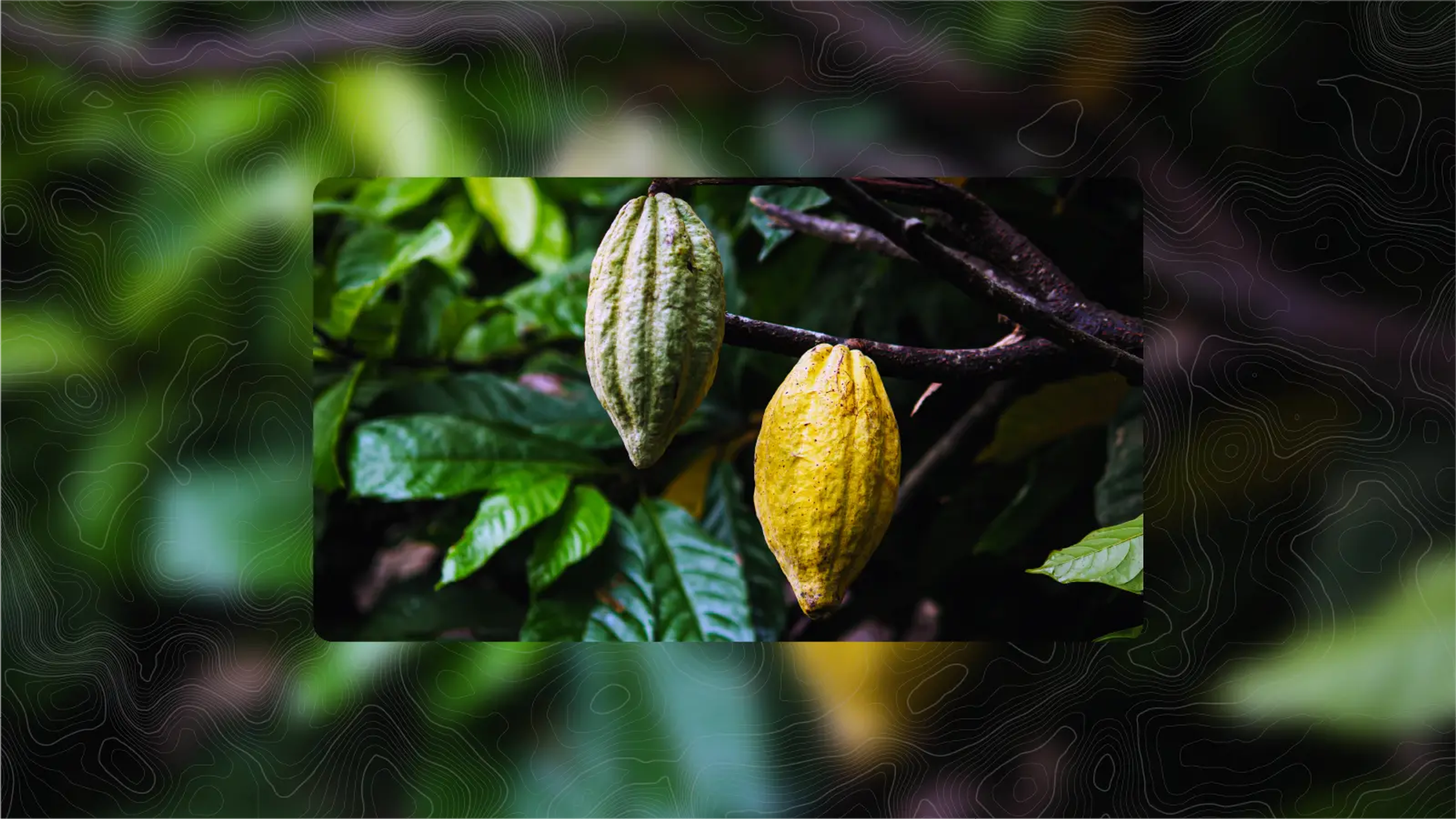 From Data to Decision – How AI reveals risk at the source