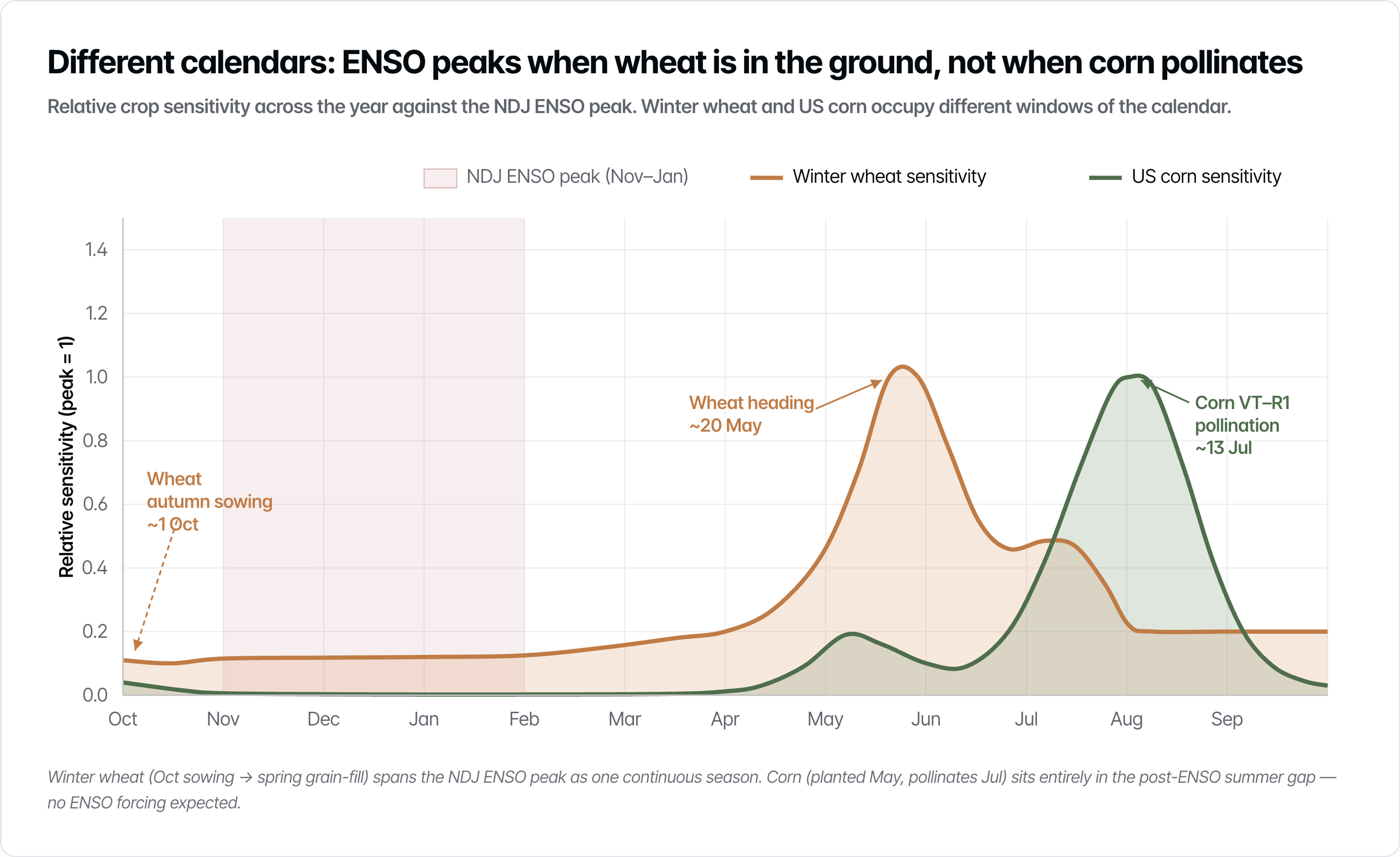 Winter wheat's Oct–Jul season spans the Nov–Jan ENSO peak; corn's July pollination sits in the summer gap. Source: Treefera ENSO Analysis, May 2026