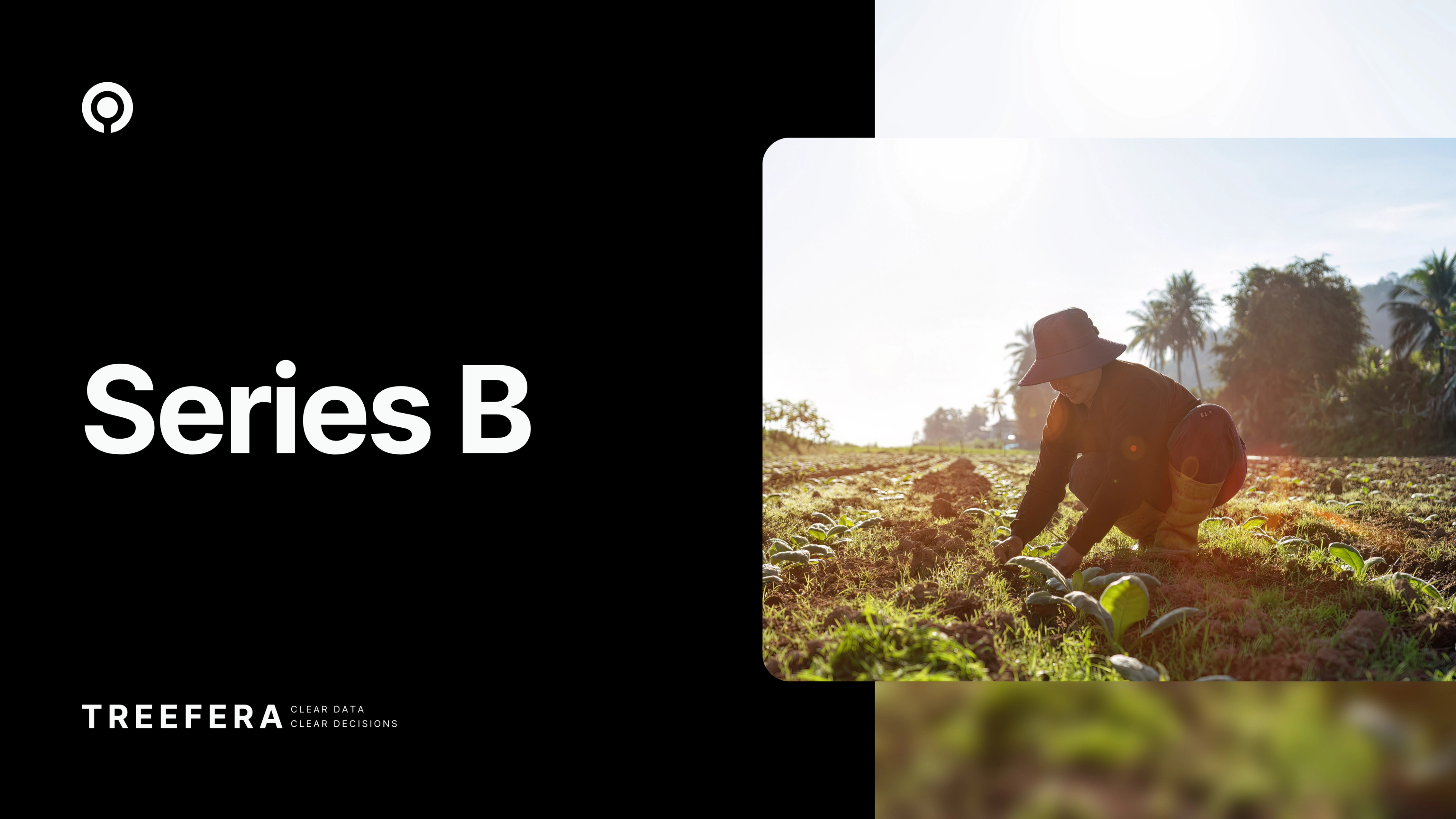 Treefera raises $30 million in Series B