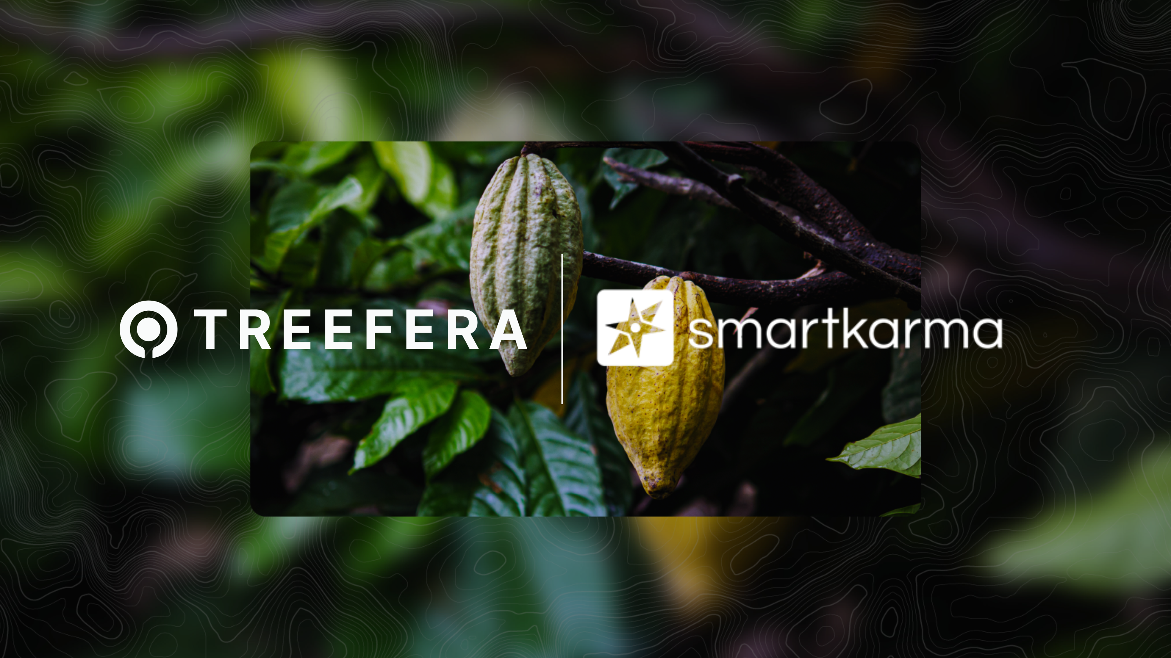 Treefera Market Intelligence Now Available in Smartkarma
