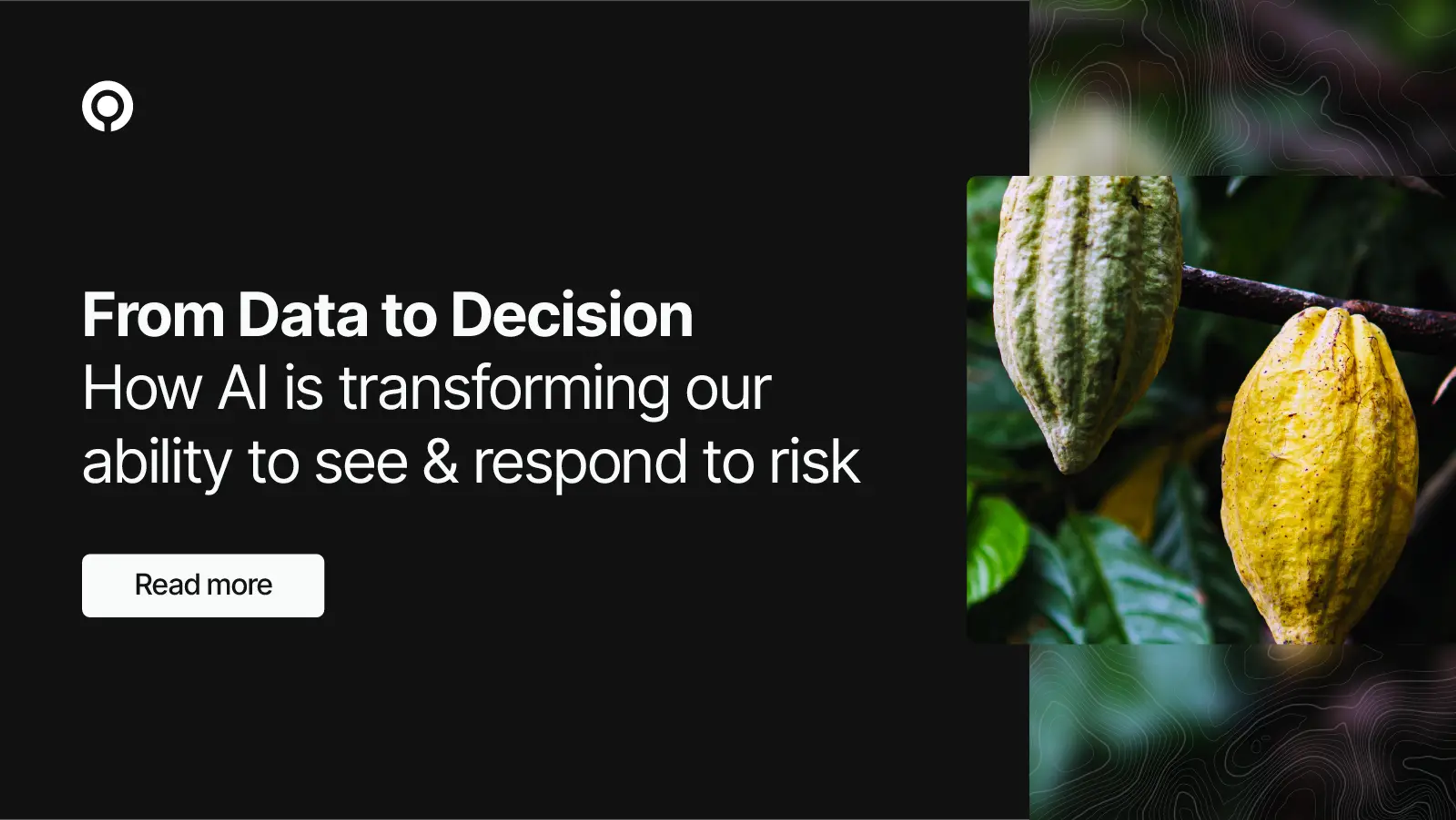 From Data to Decision – How AI reveals risk at the source