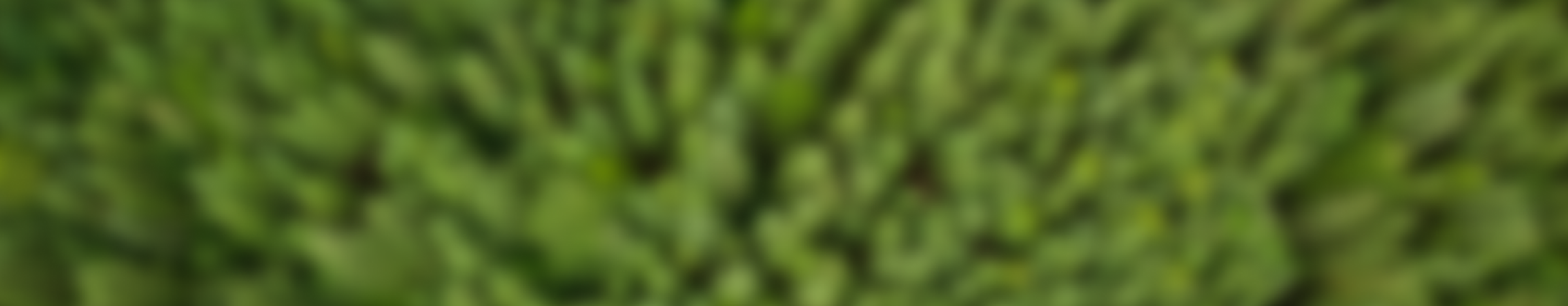 Our team background image