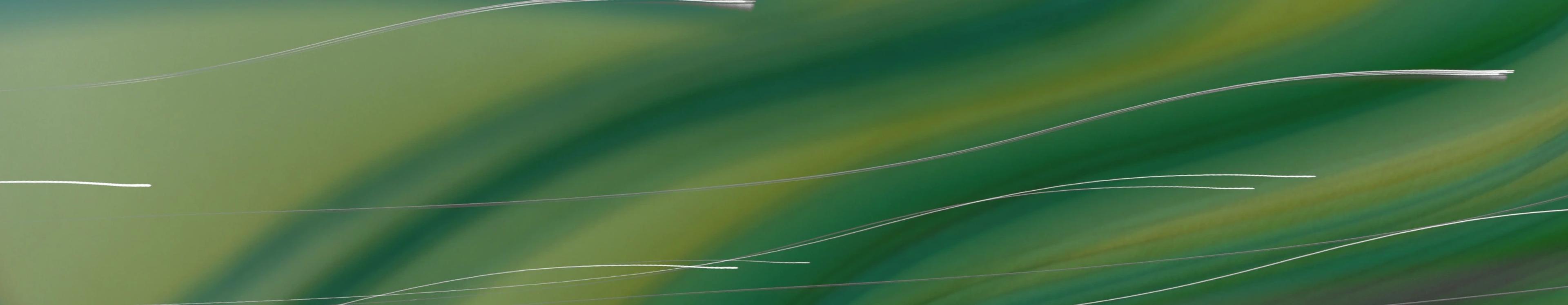 treefera risk intelligence