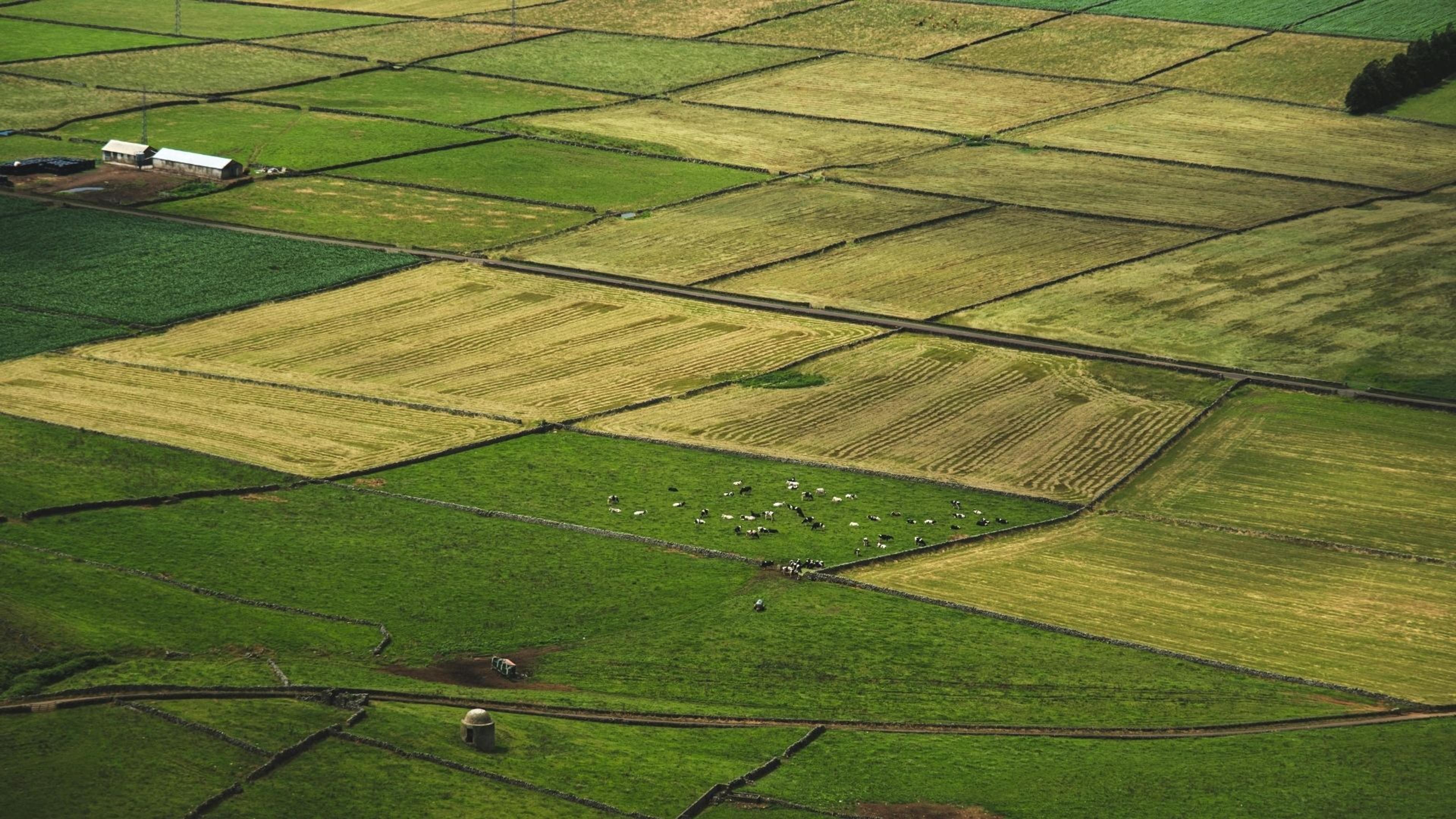 The Blind Spot in British Food Security