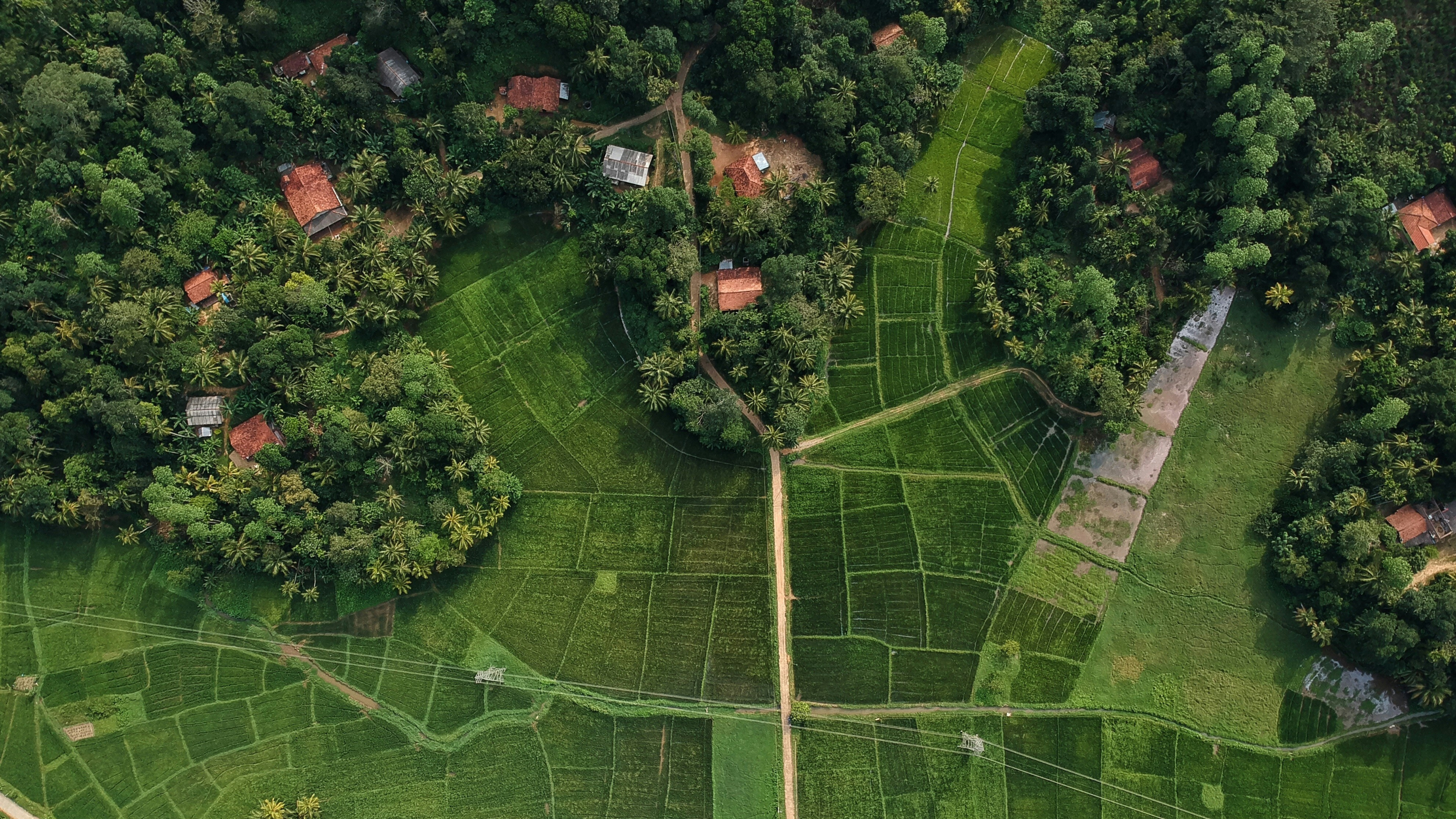 Risk and Resilience in a Changing World