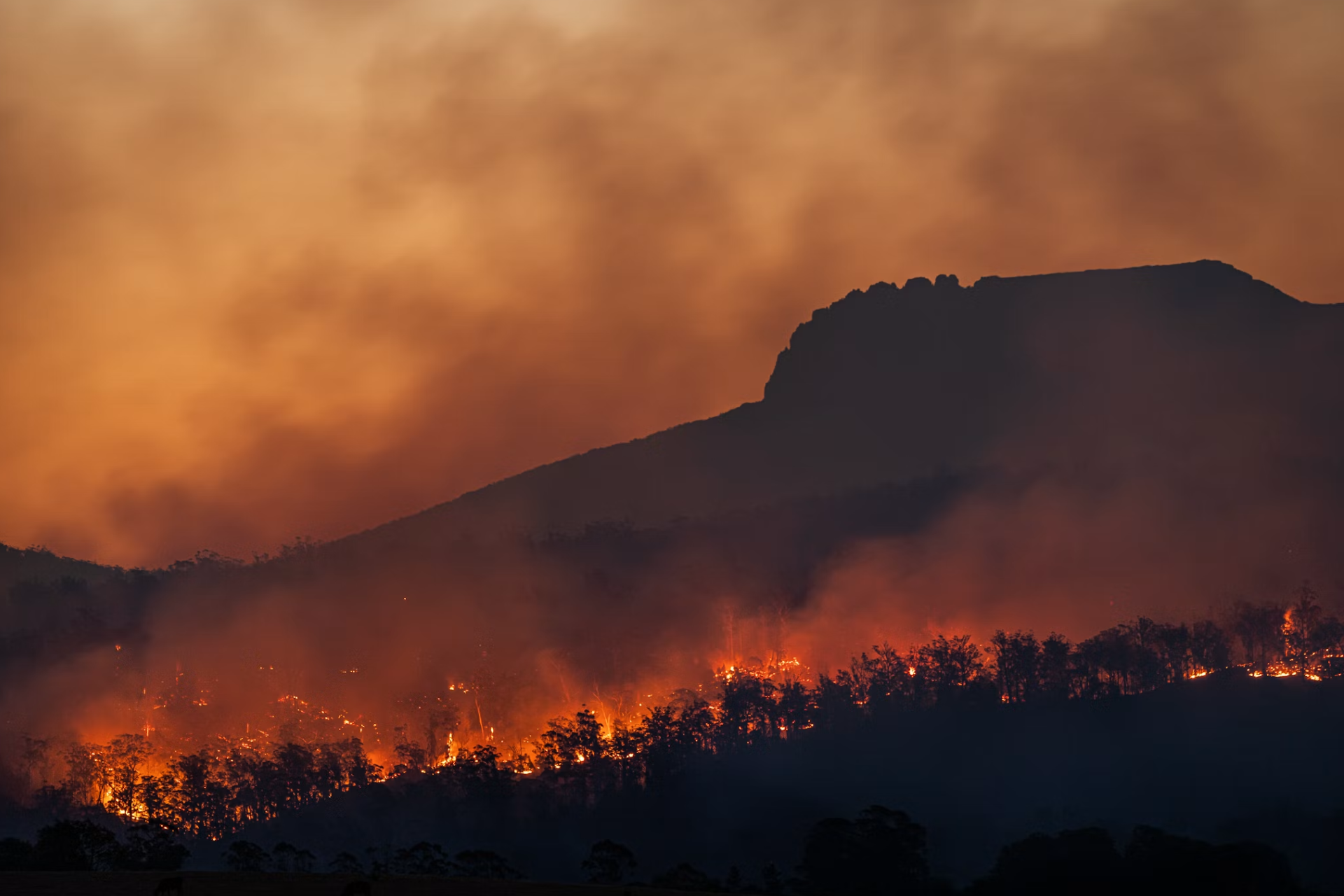 Wildfires
