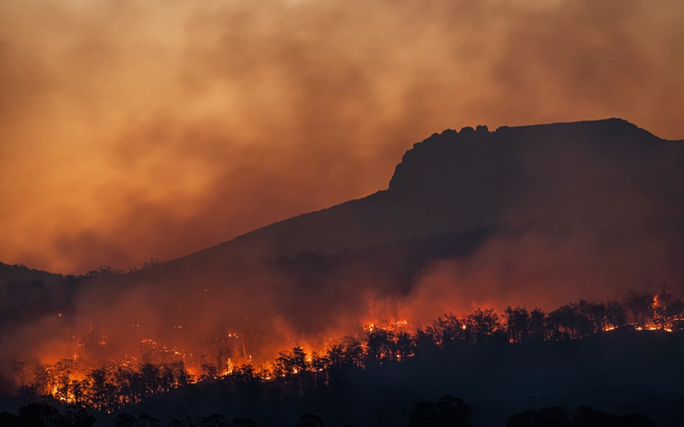 Wildfires