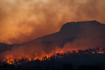 Wildfires