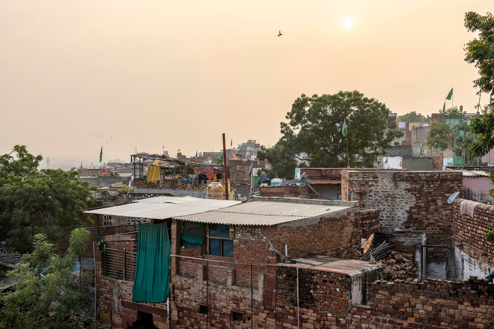 Delhi slum diaries capture daily toll of extreme summer heat