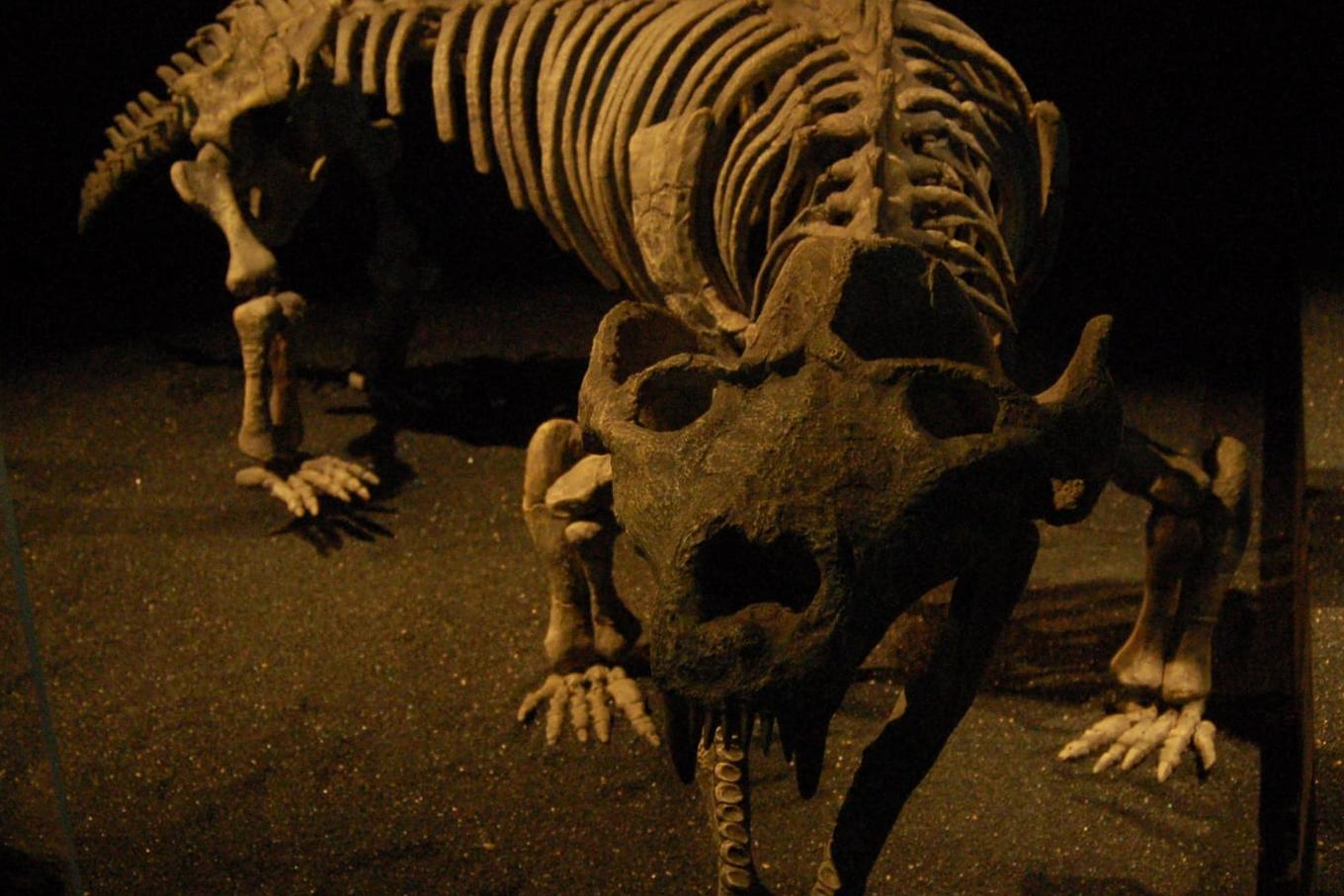 236-Million-Year-Old Fossil Suggests Early Live Birth in Mammal Ancestors