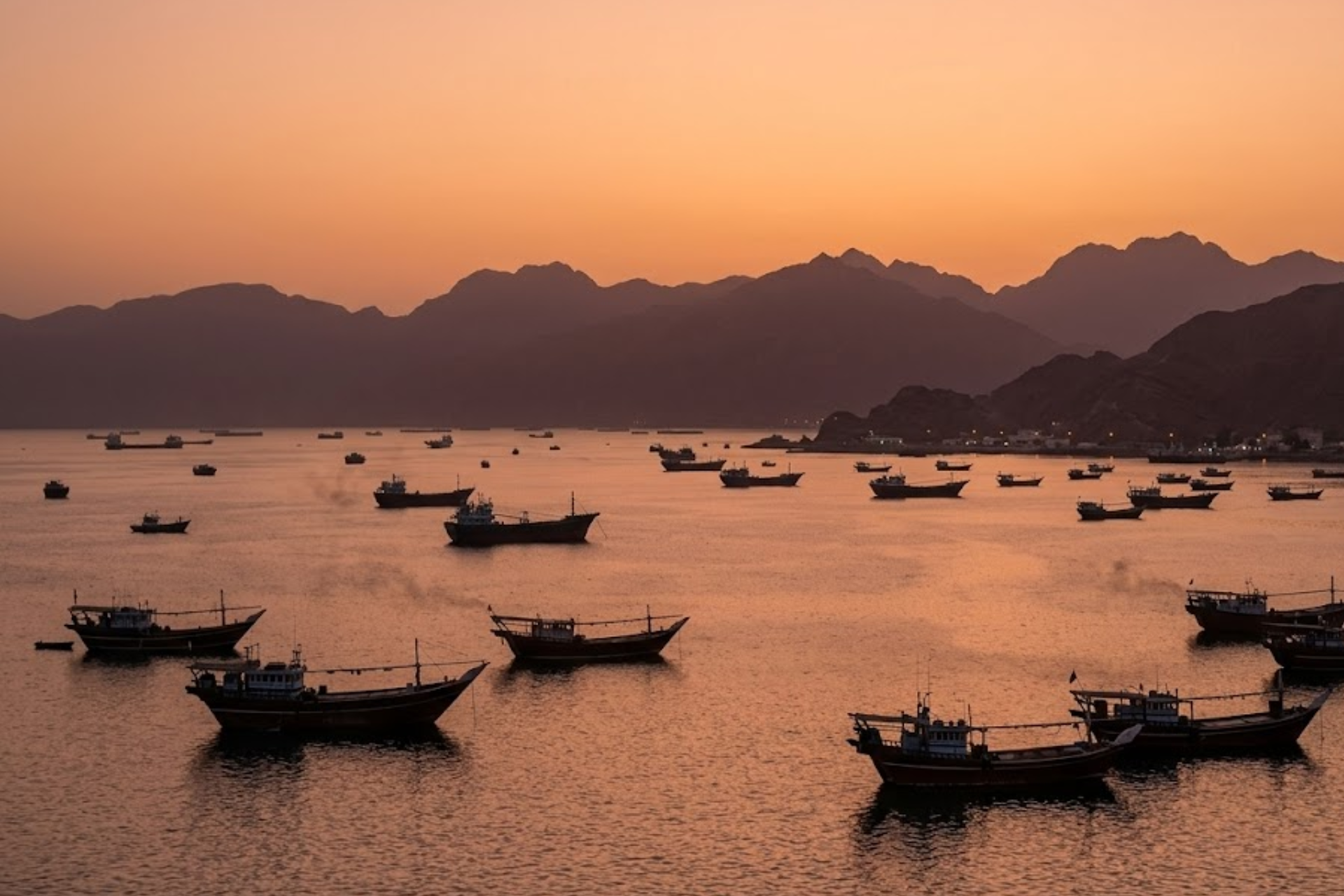 Ships in the Strait of Hormuz