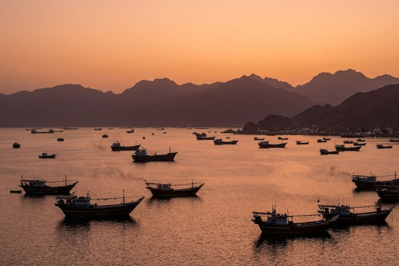 Ships in the Strait of Hormuz