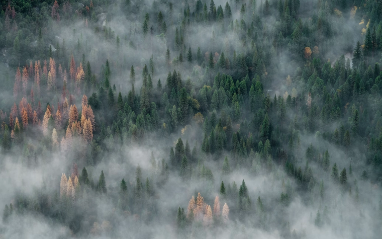 Arial of smoke from forrest wildfire