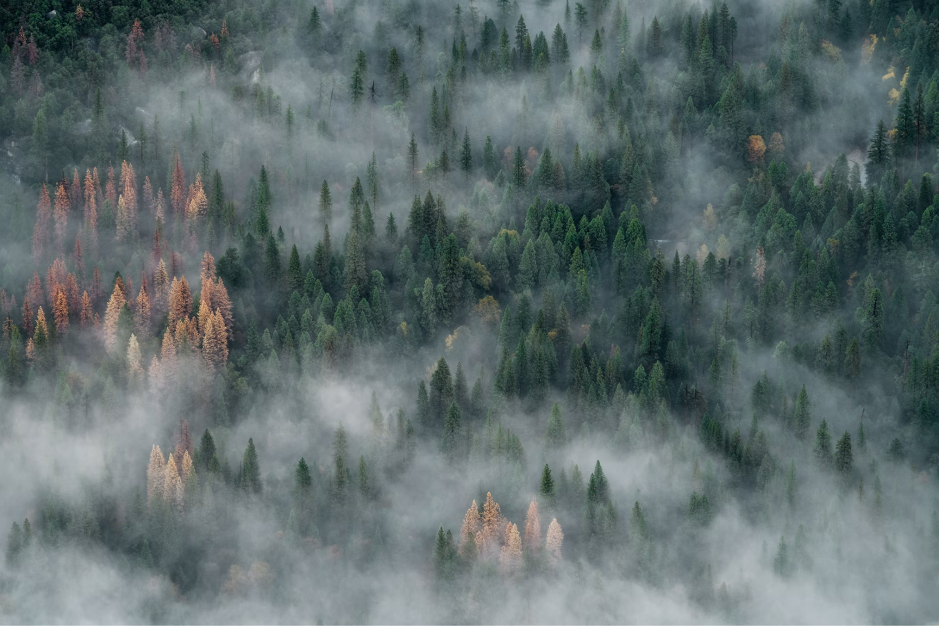 Arial of smoke from forrest wildfire