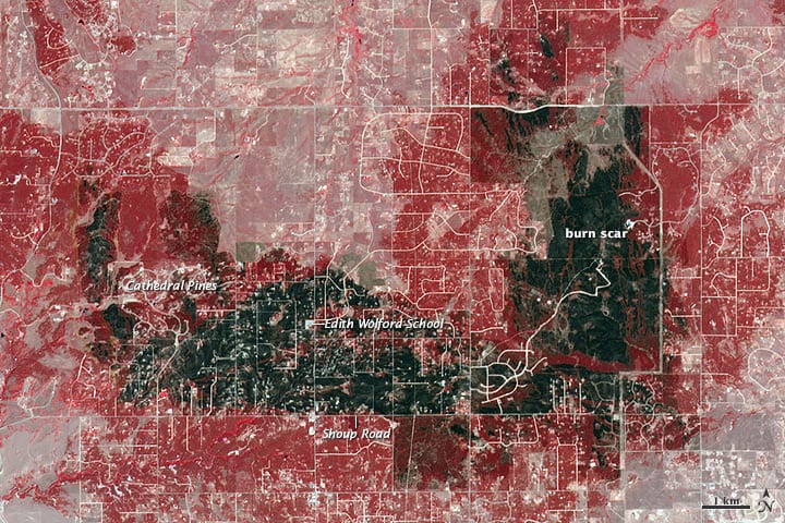 US wildfire agencies cut staff and burns as fire seasons worsen